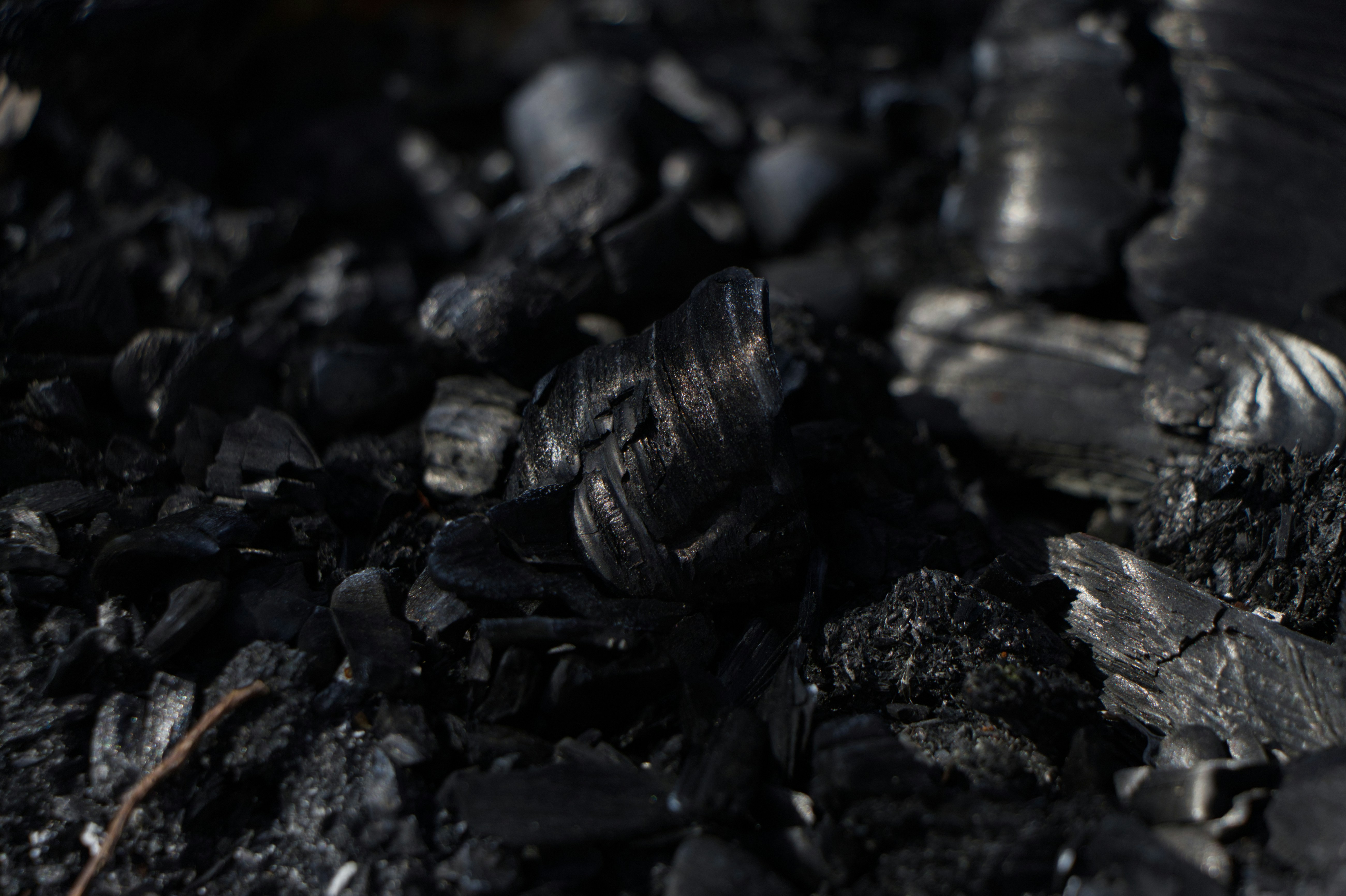 Photo by spaceboundstudio