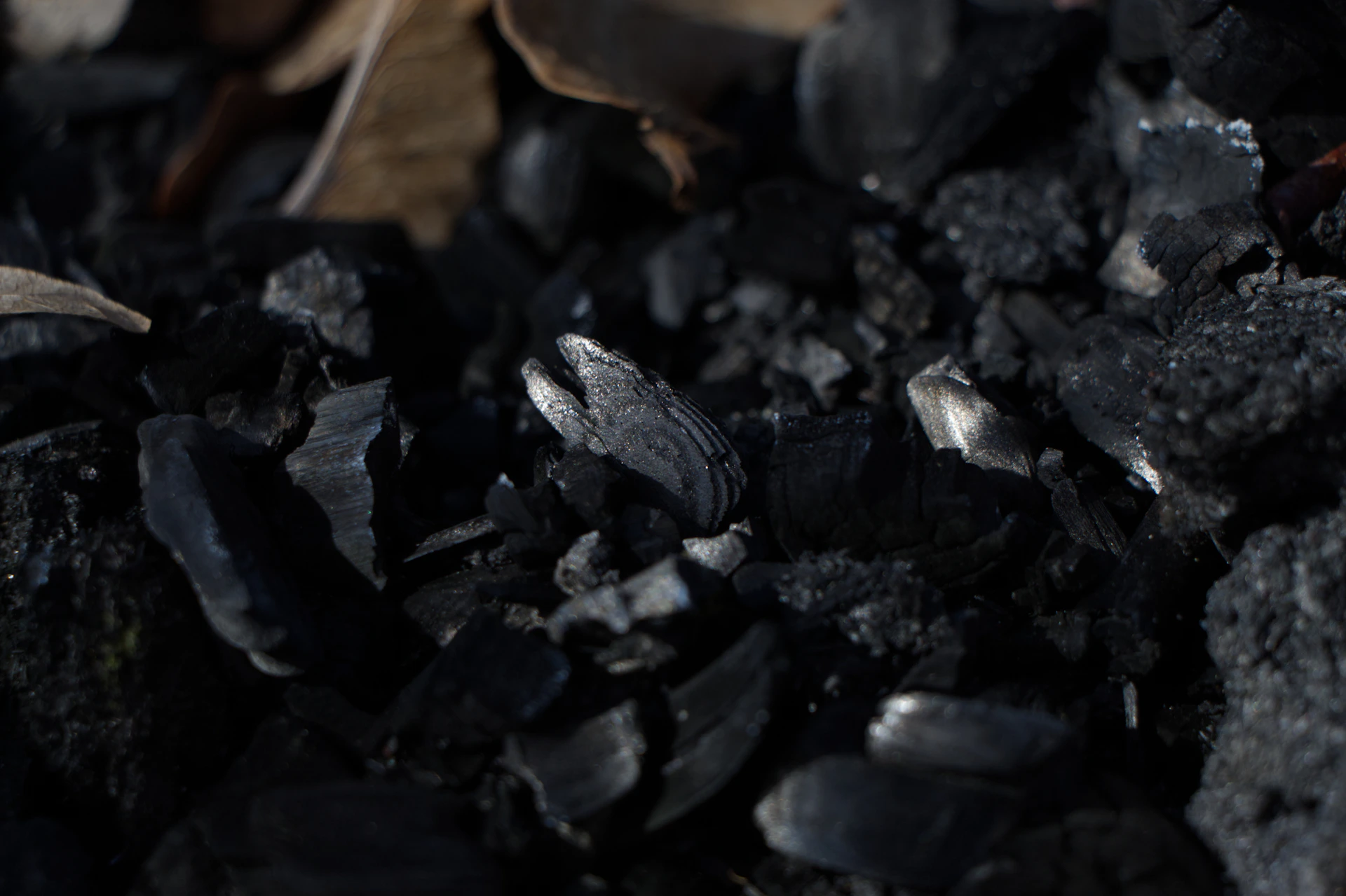 Close-up of dark charcoal pieces with some leaves