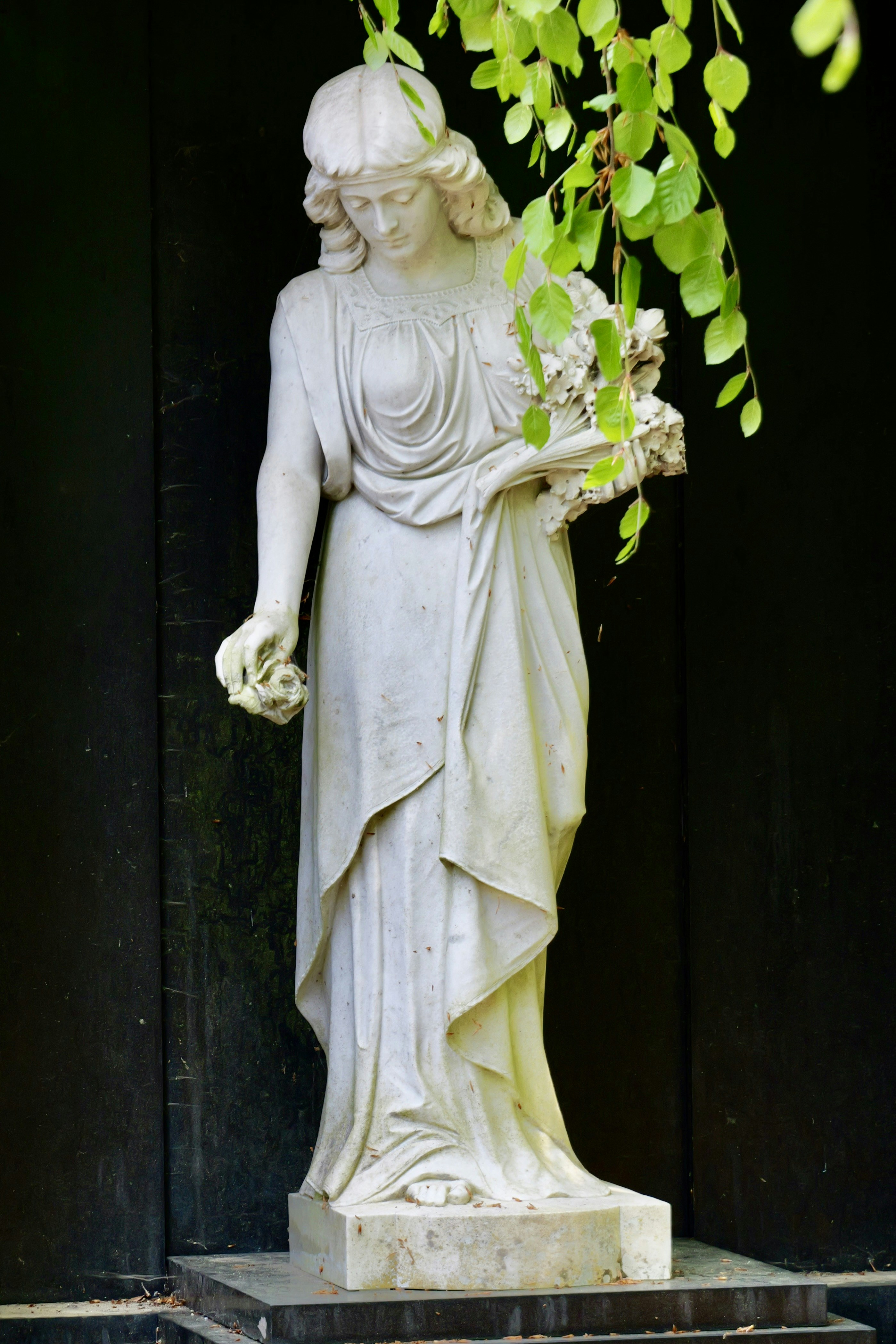 Photo by sanneschroeder