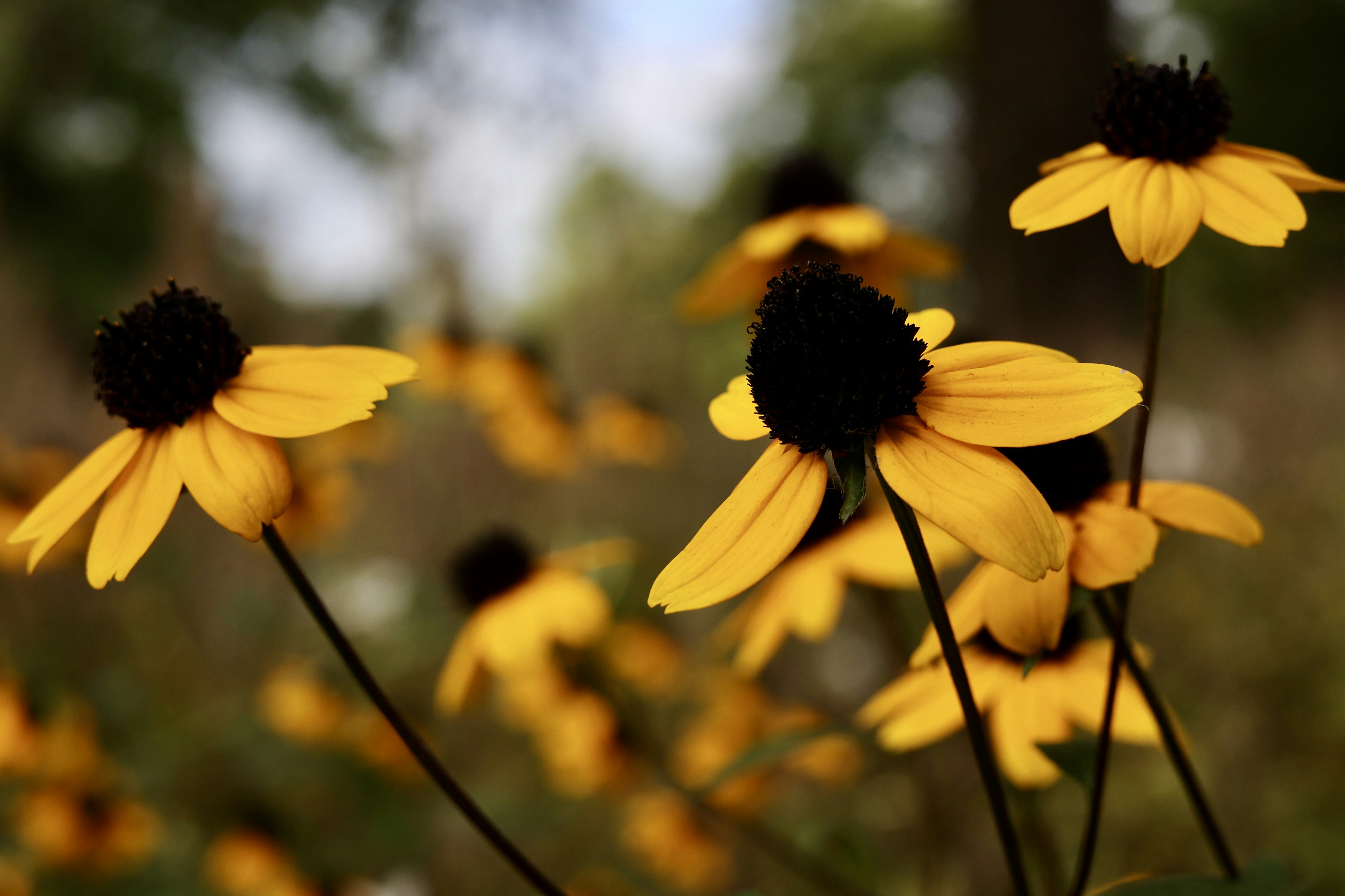 Photo by sanneschroeder