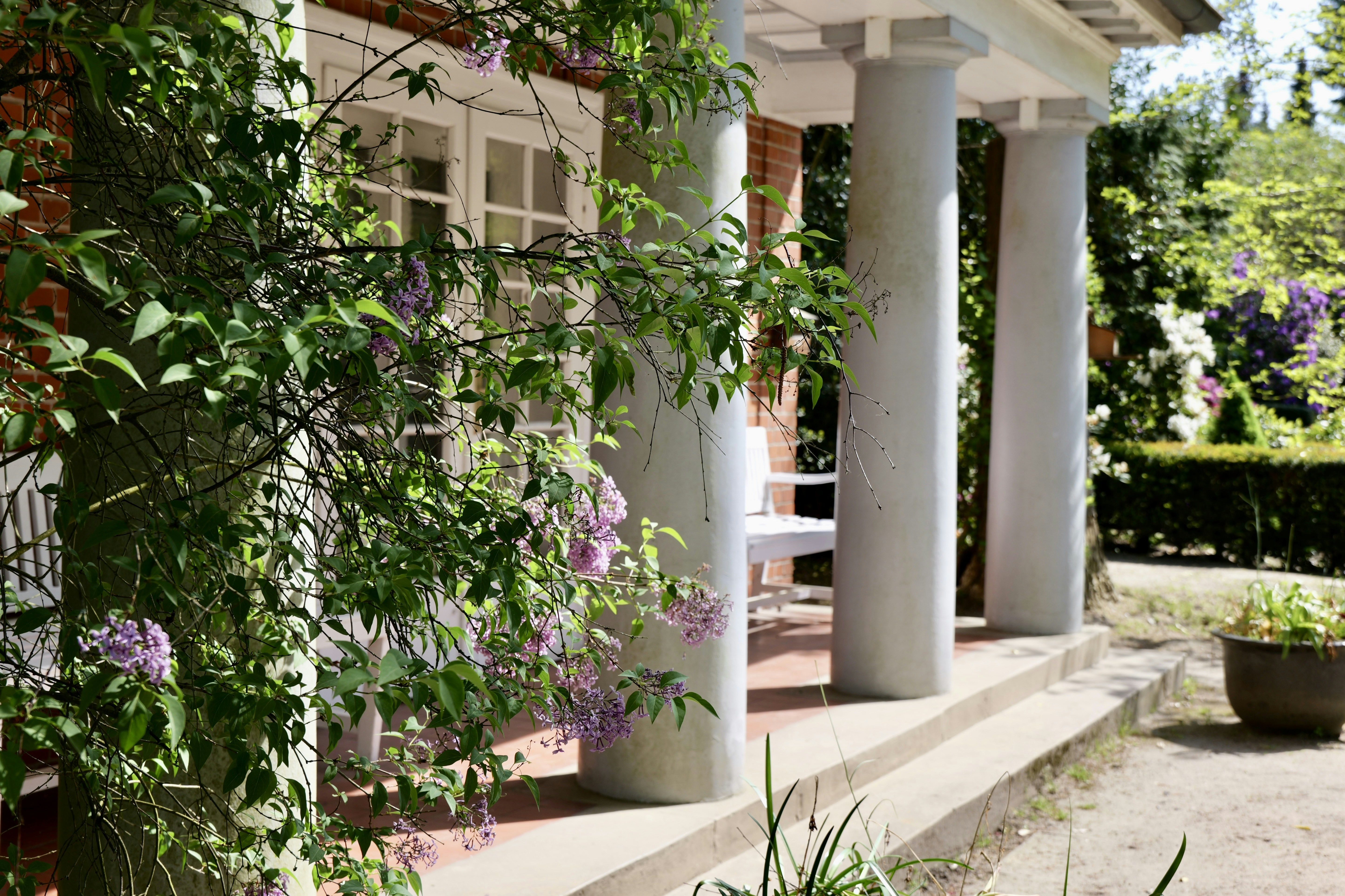 Photo by sanneschroeder