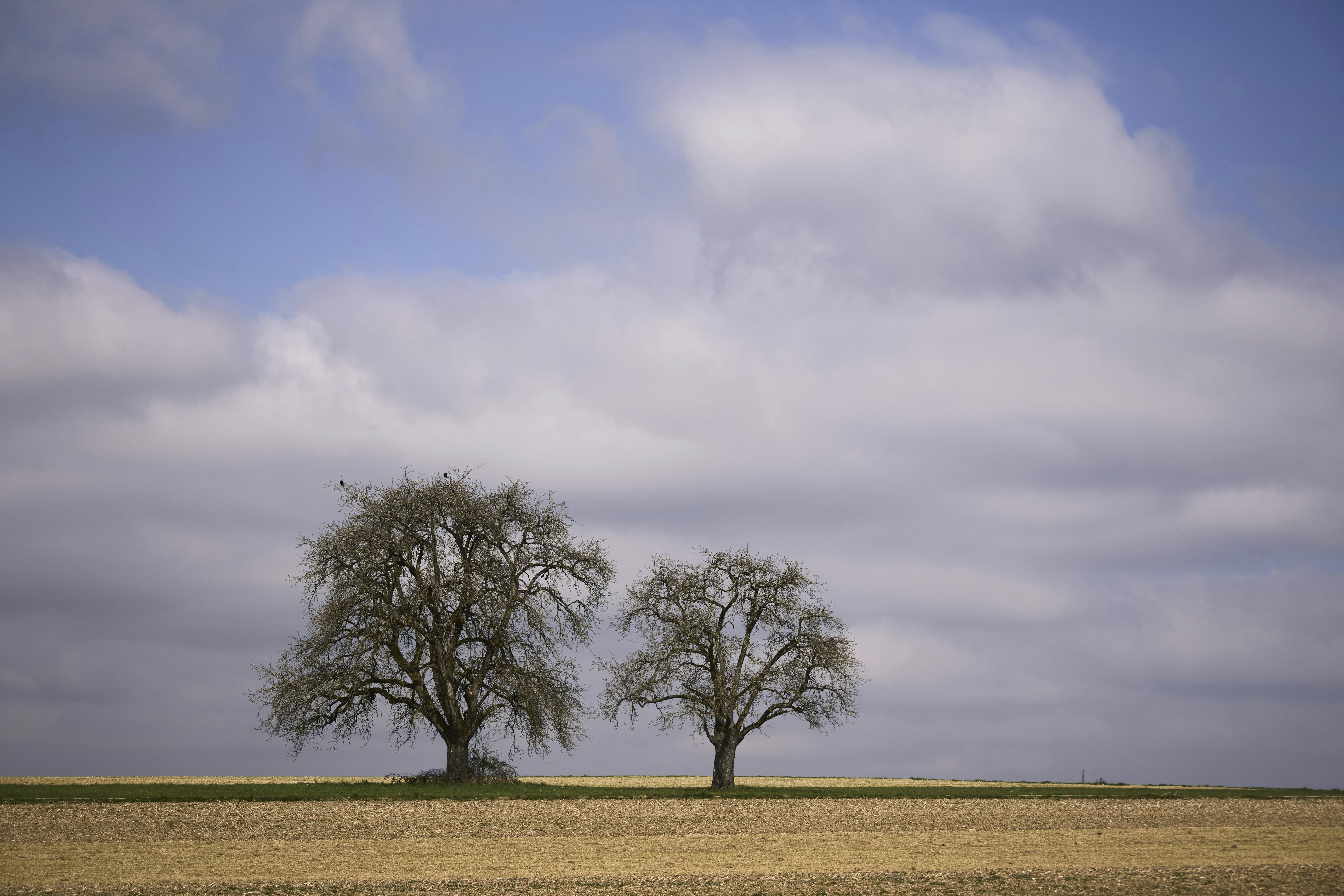 Photo by wolfgang_hasselmann