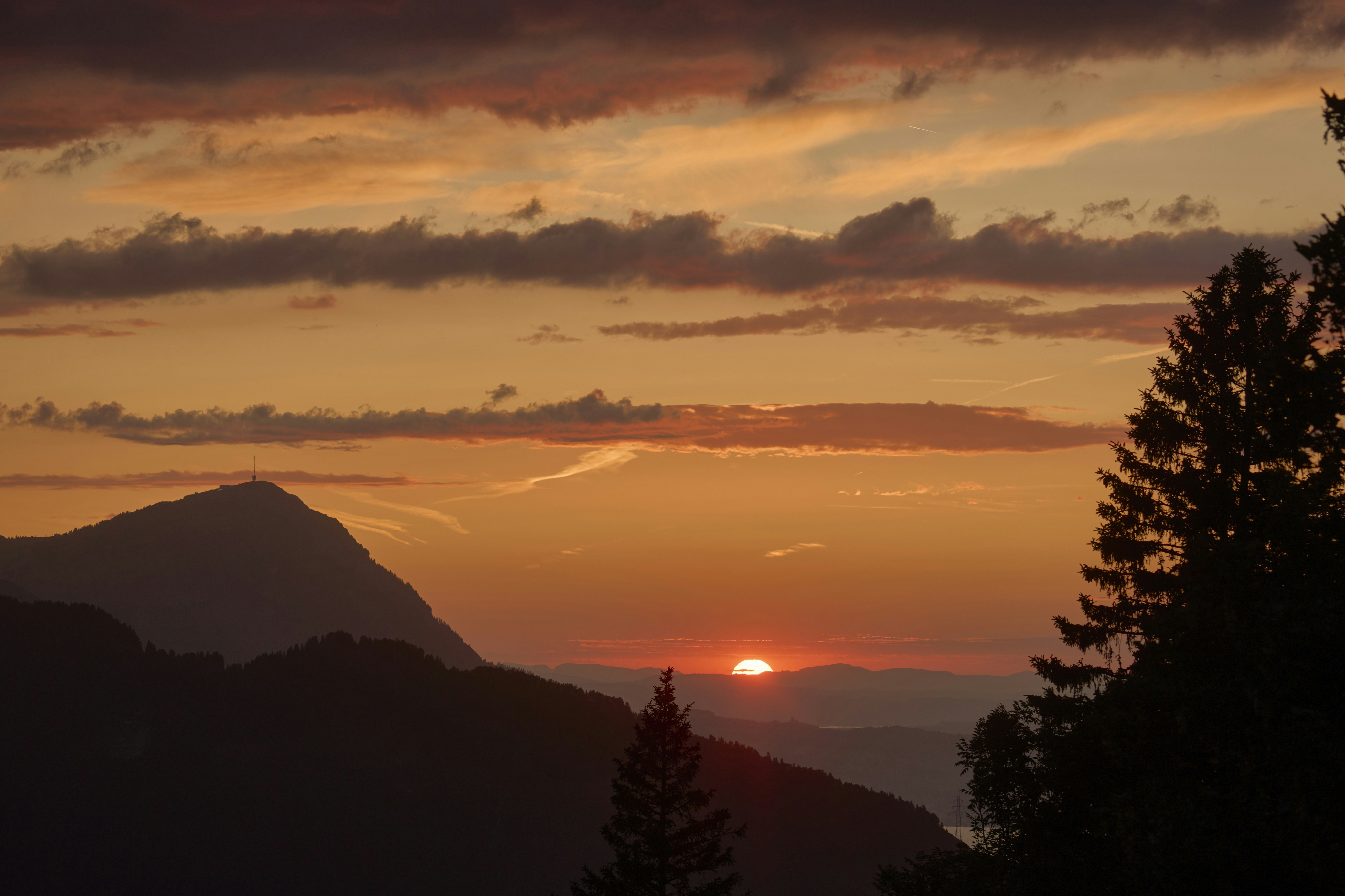 Photo by wolfgang_hasselmann