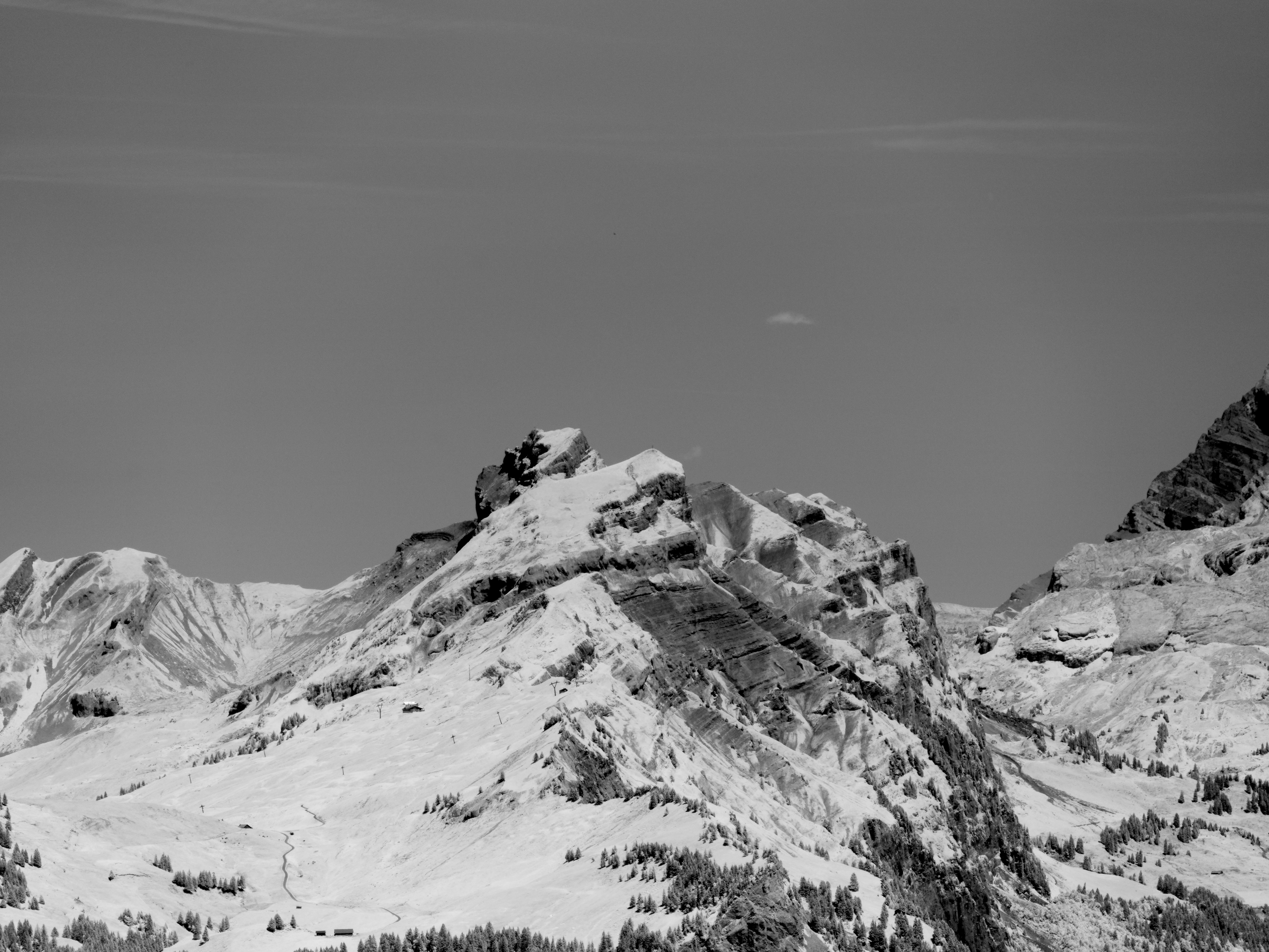 Photo by wolfgang_hasselmann