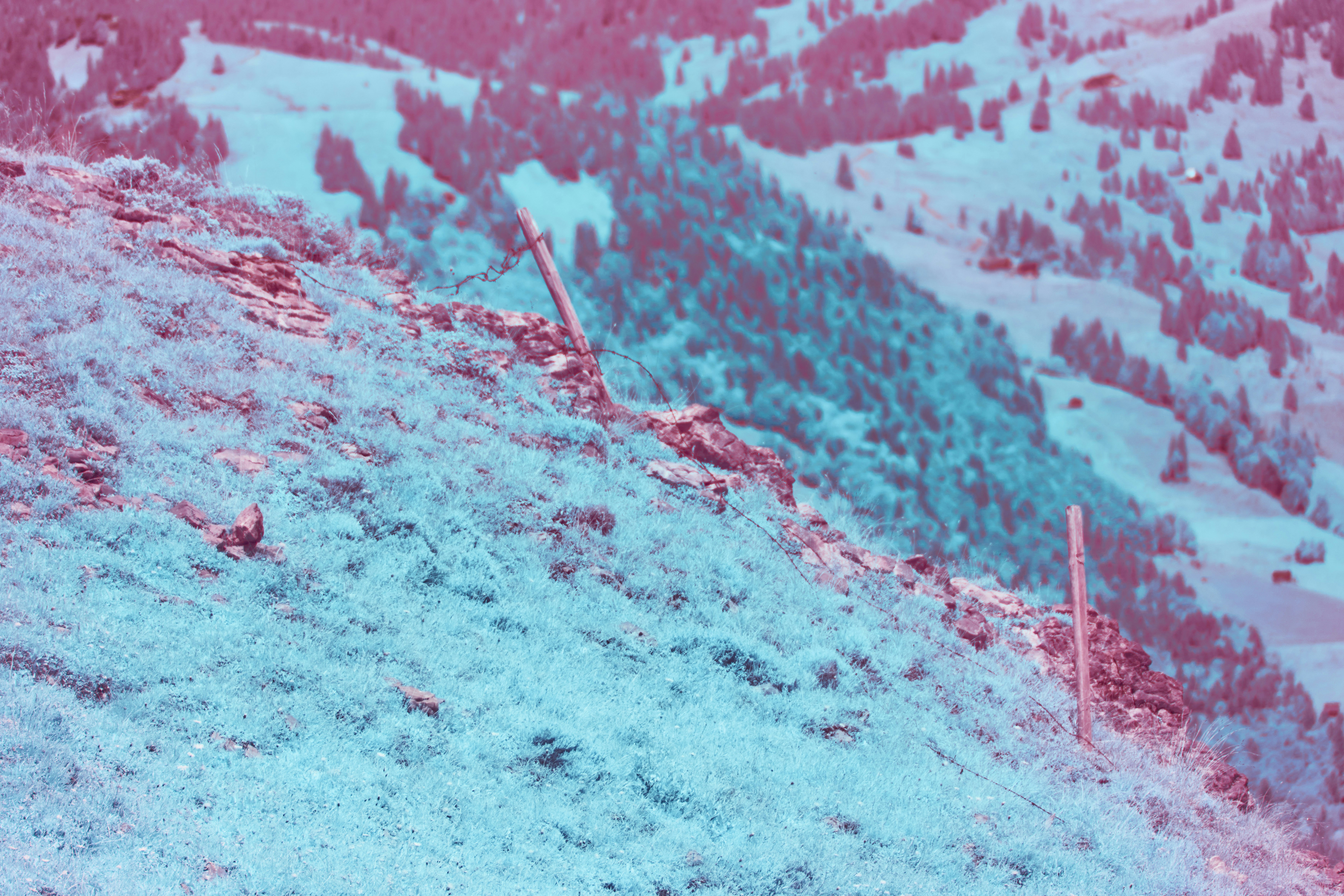 Photo by wolfgang_hasselmann