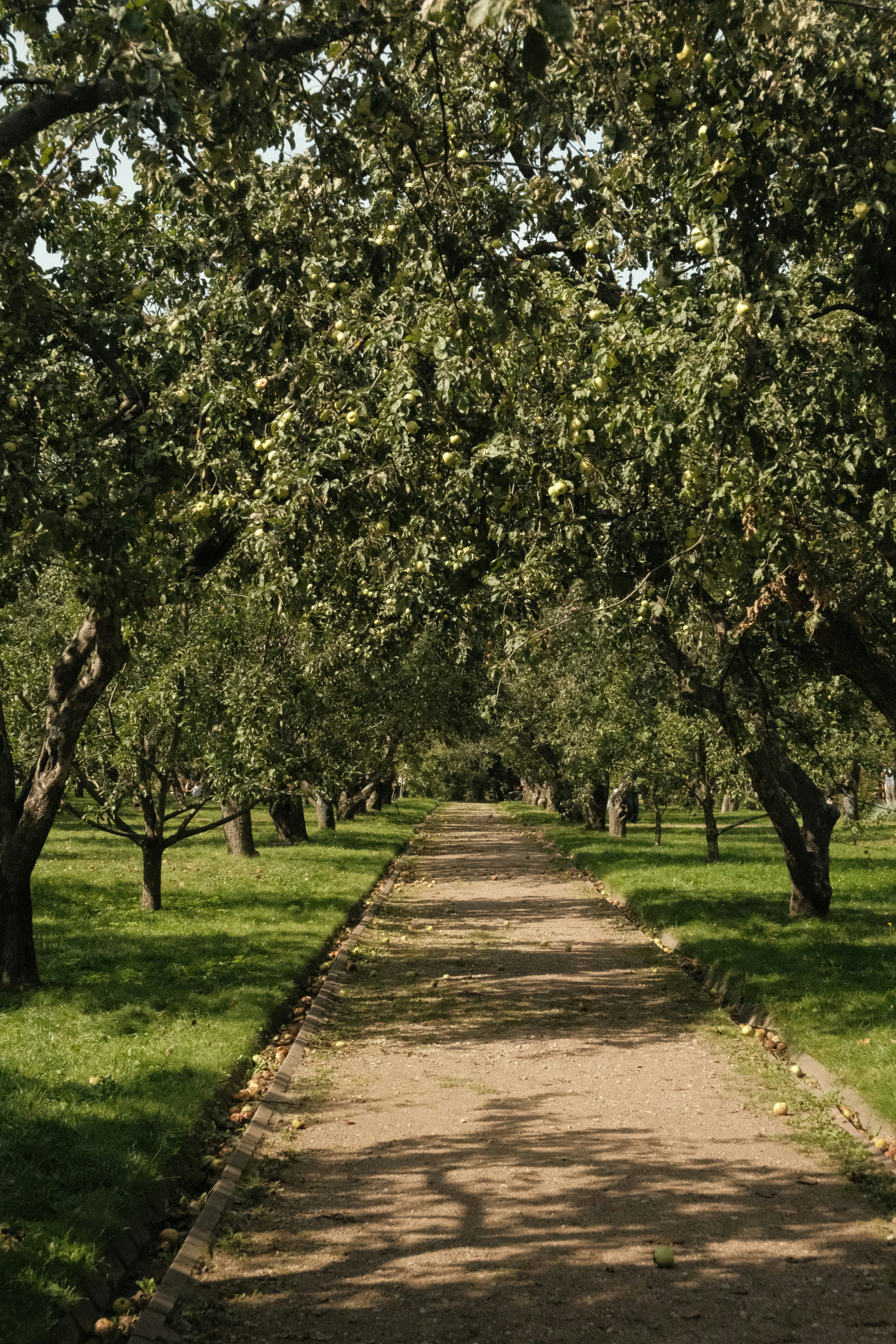 Photo by tatianarudneva