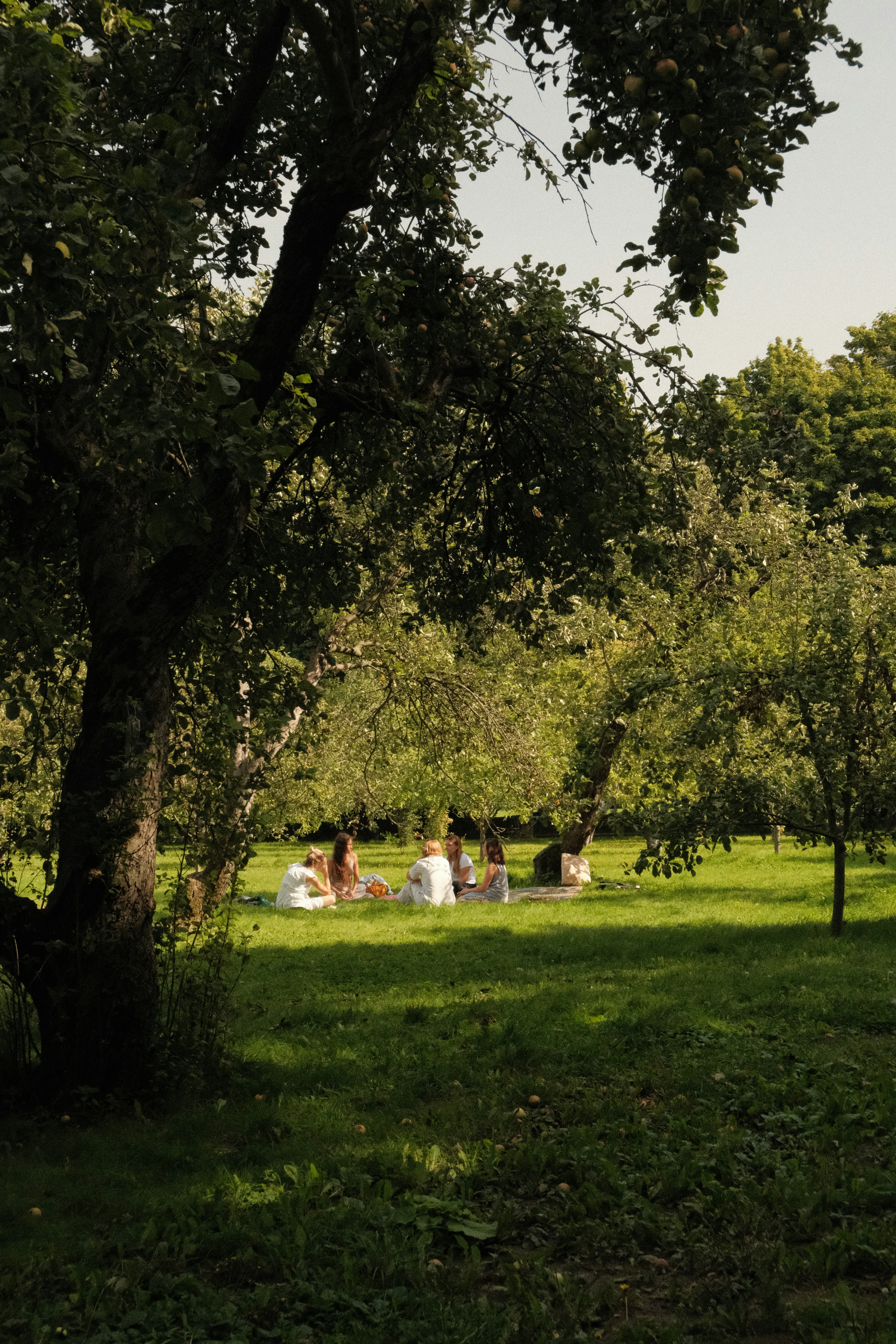 Photo by tatianarudneva