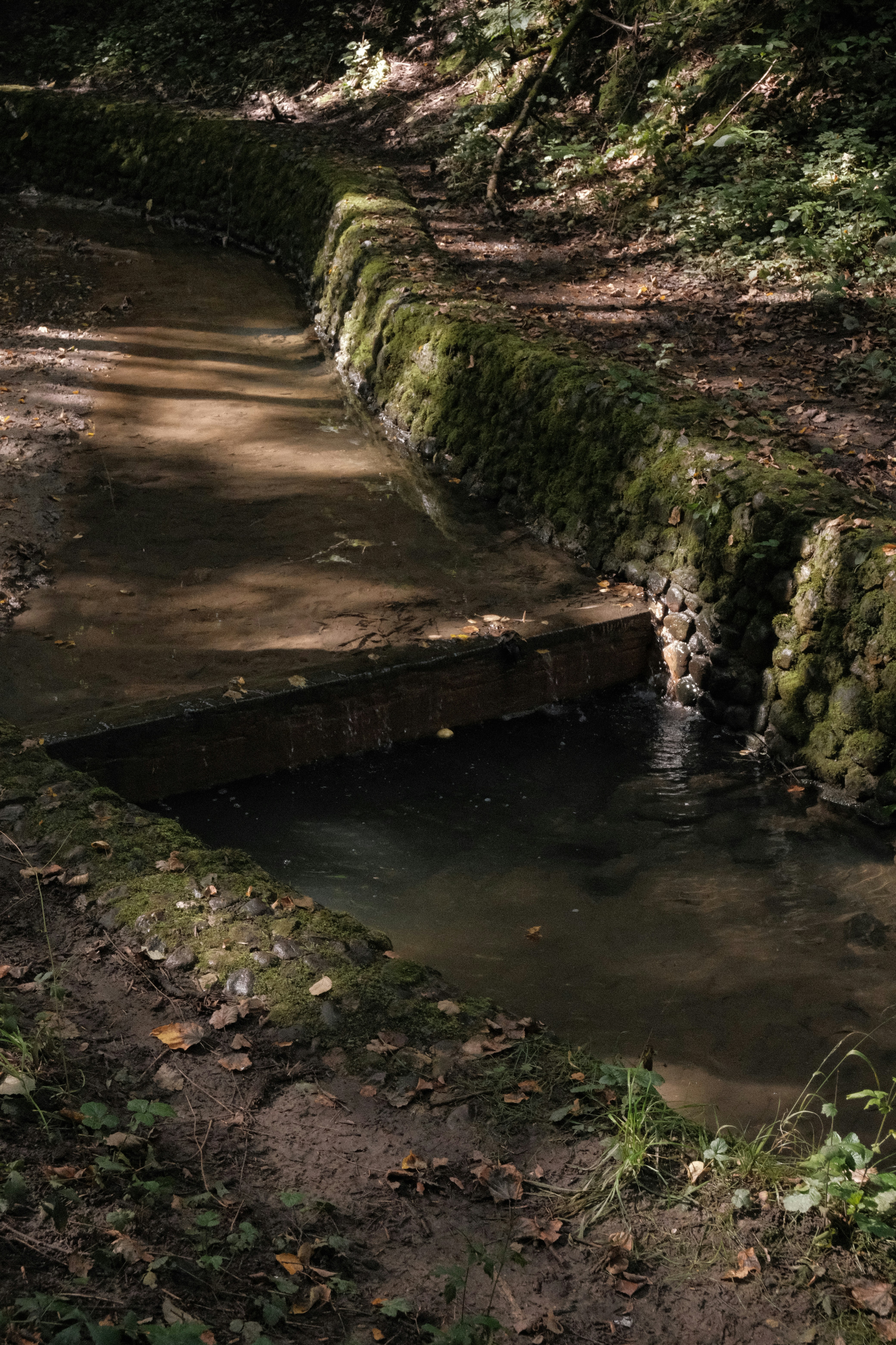 Photo by tatianarudneva