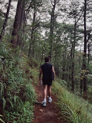 Man walks on a forest trail surrounded by trees