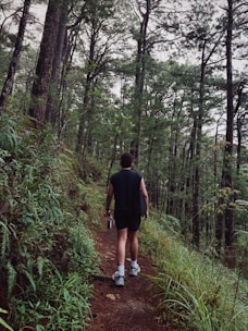 Man walks on a forest trail surrounded by trees
