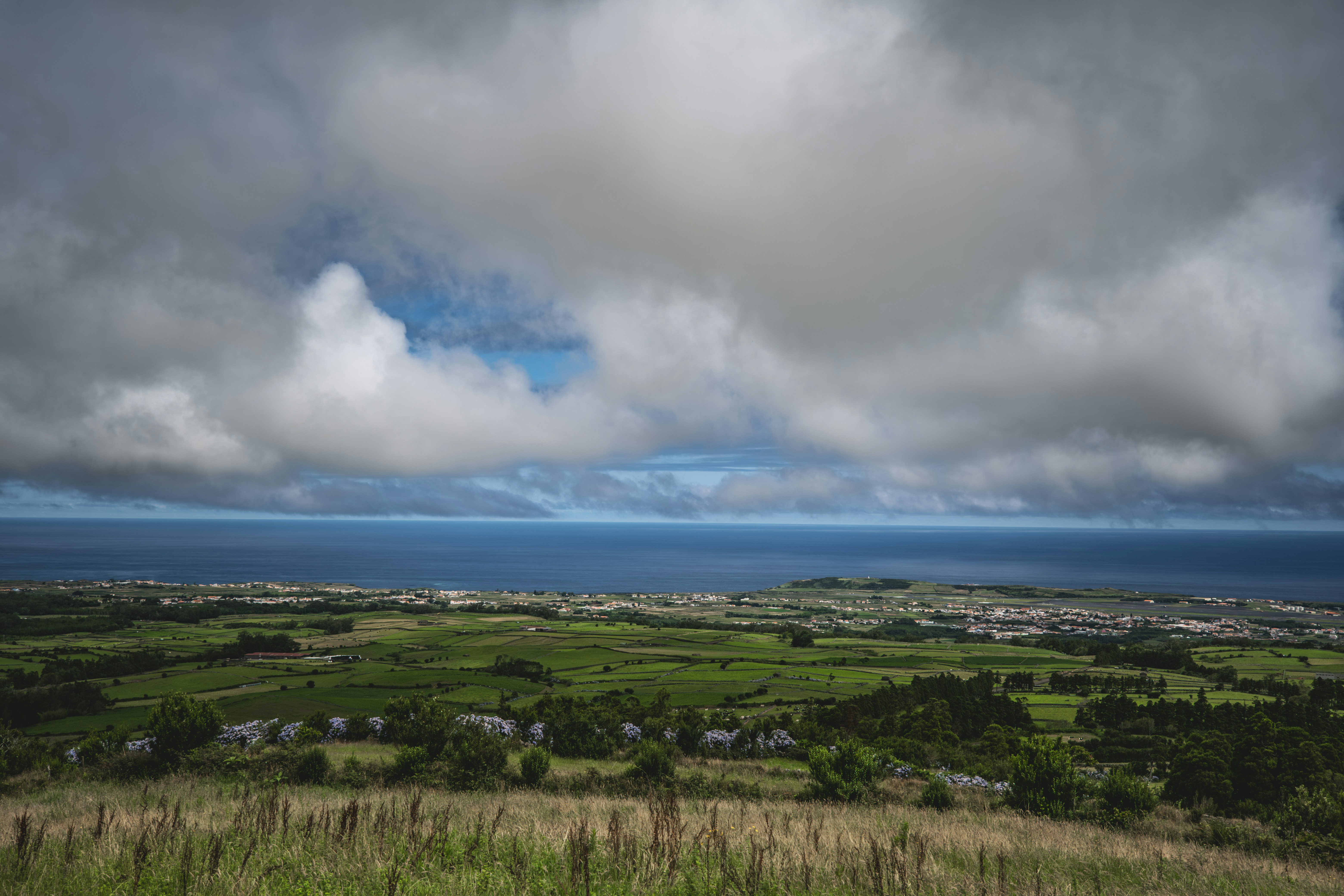 Photo by francesco_ungaro