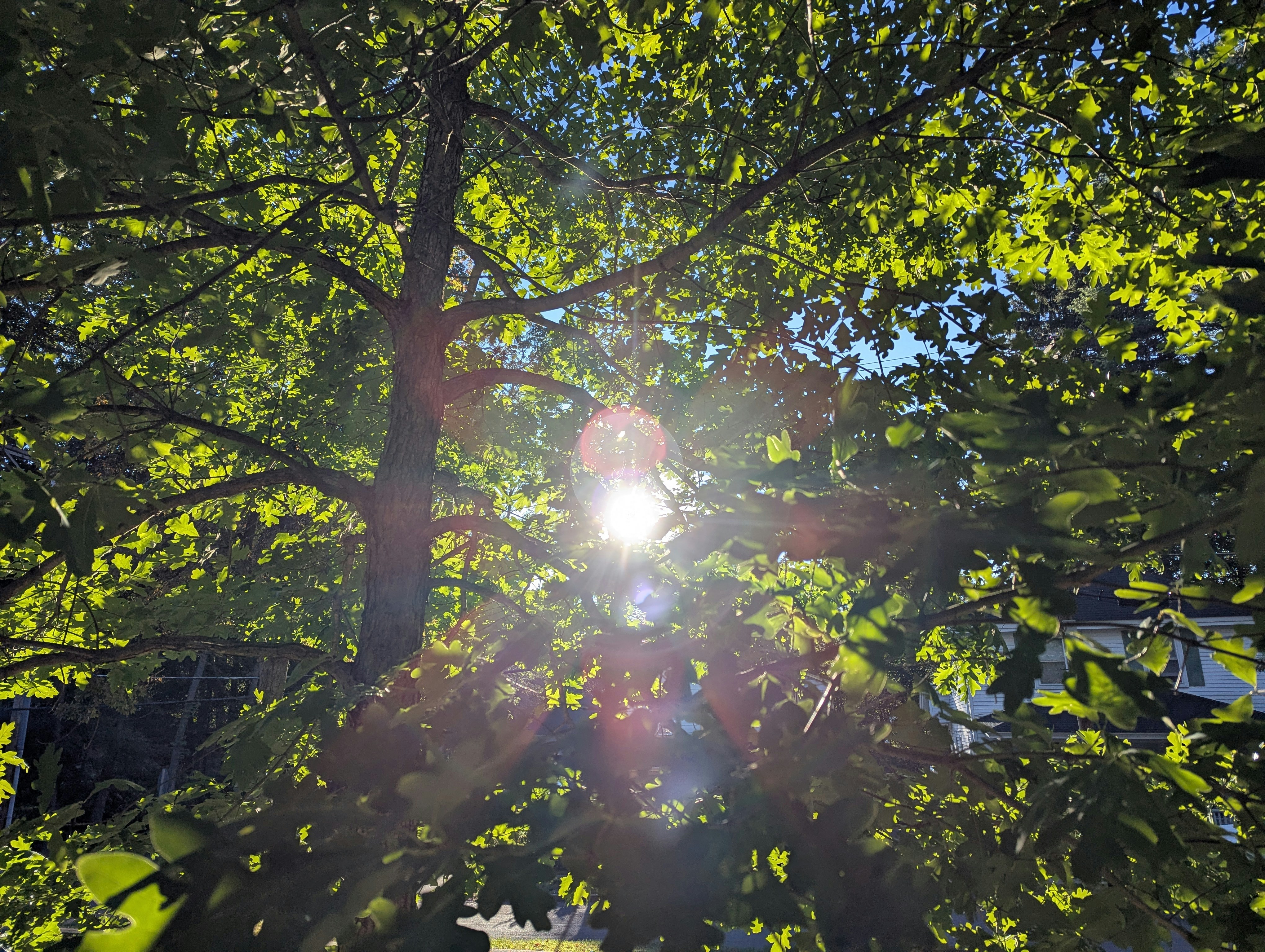 Photo by tamrootbeer