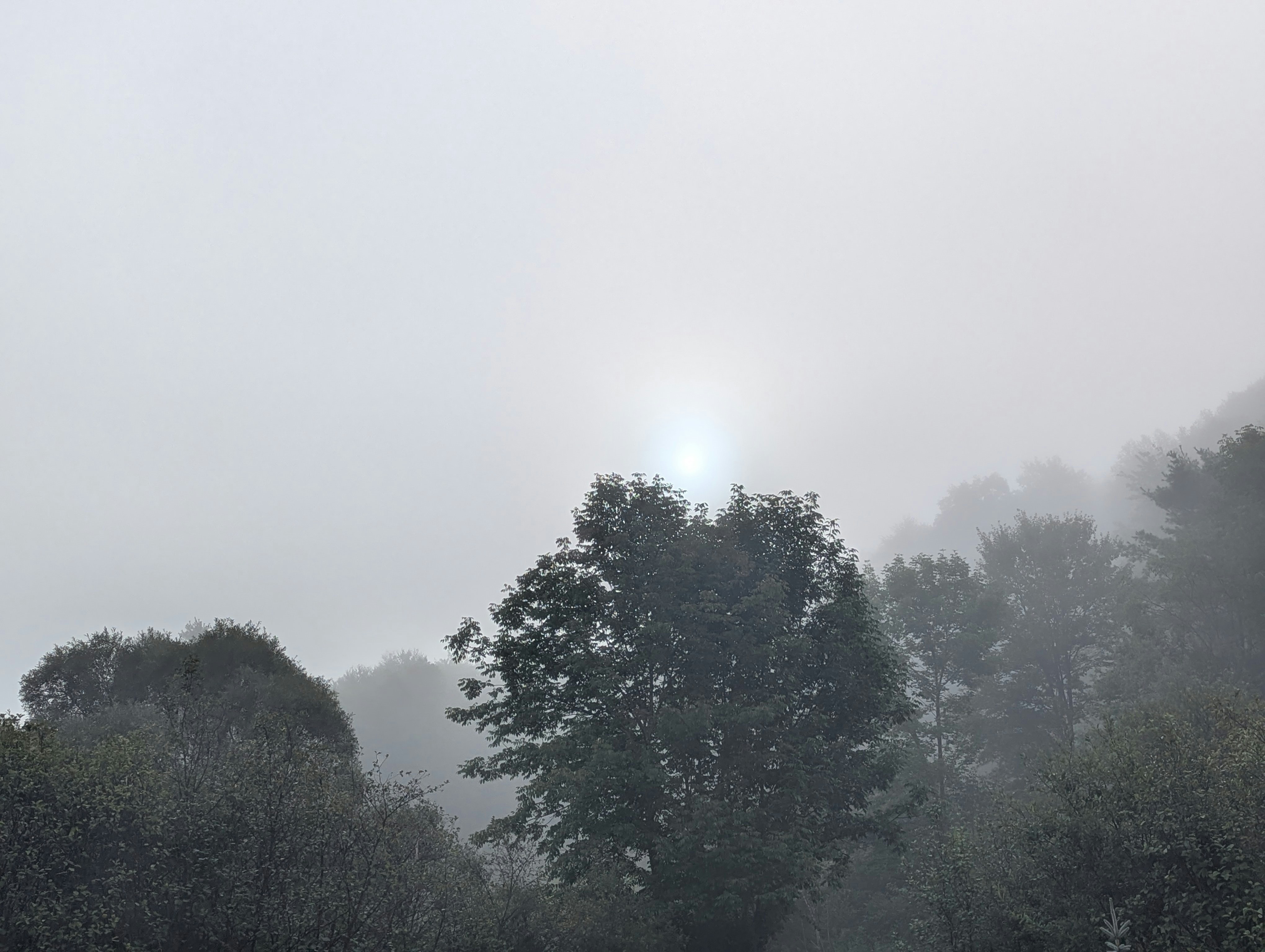 Photo by tamrootbeer