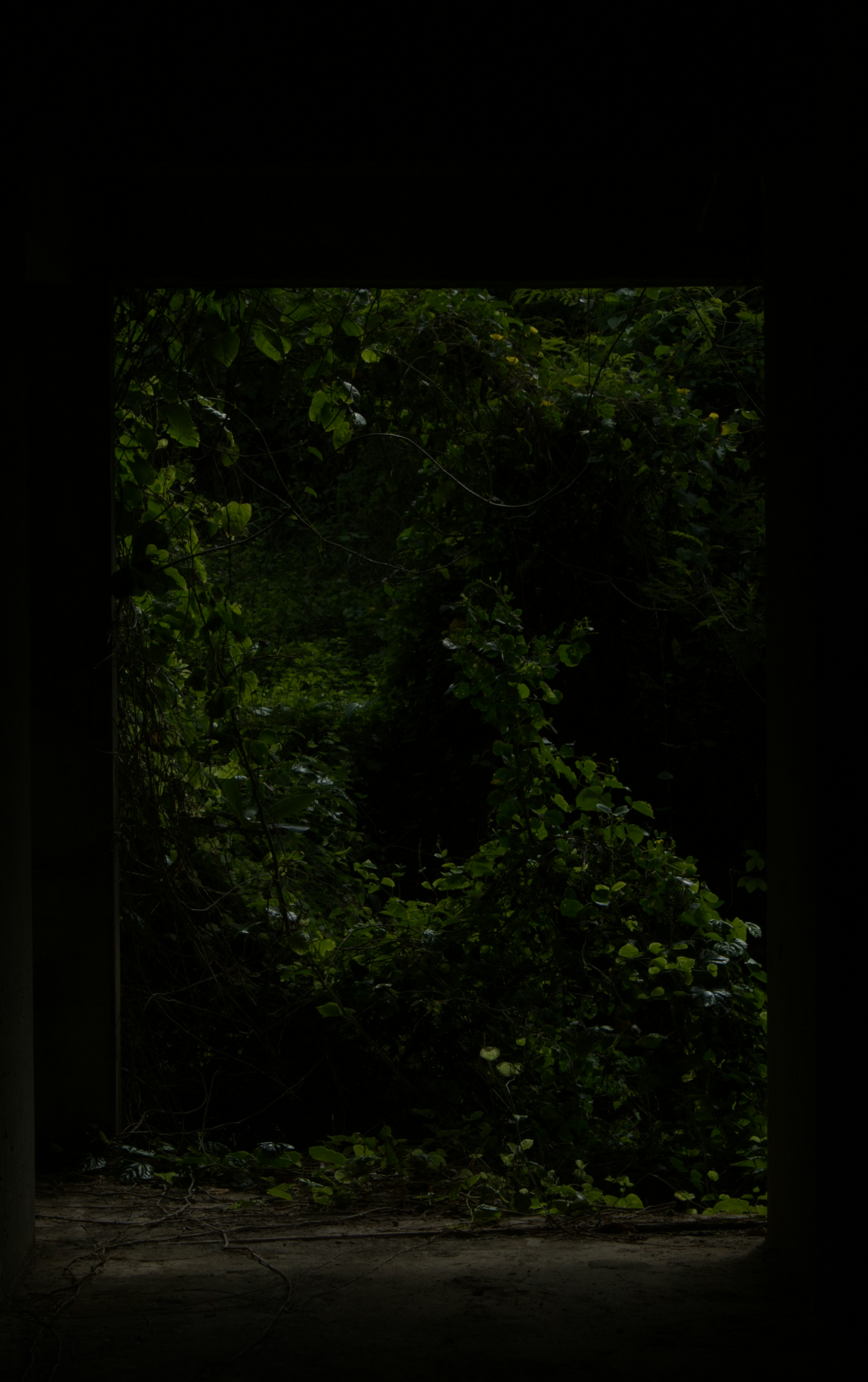 Photo by spaceboundstudio