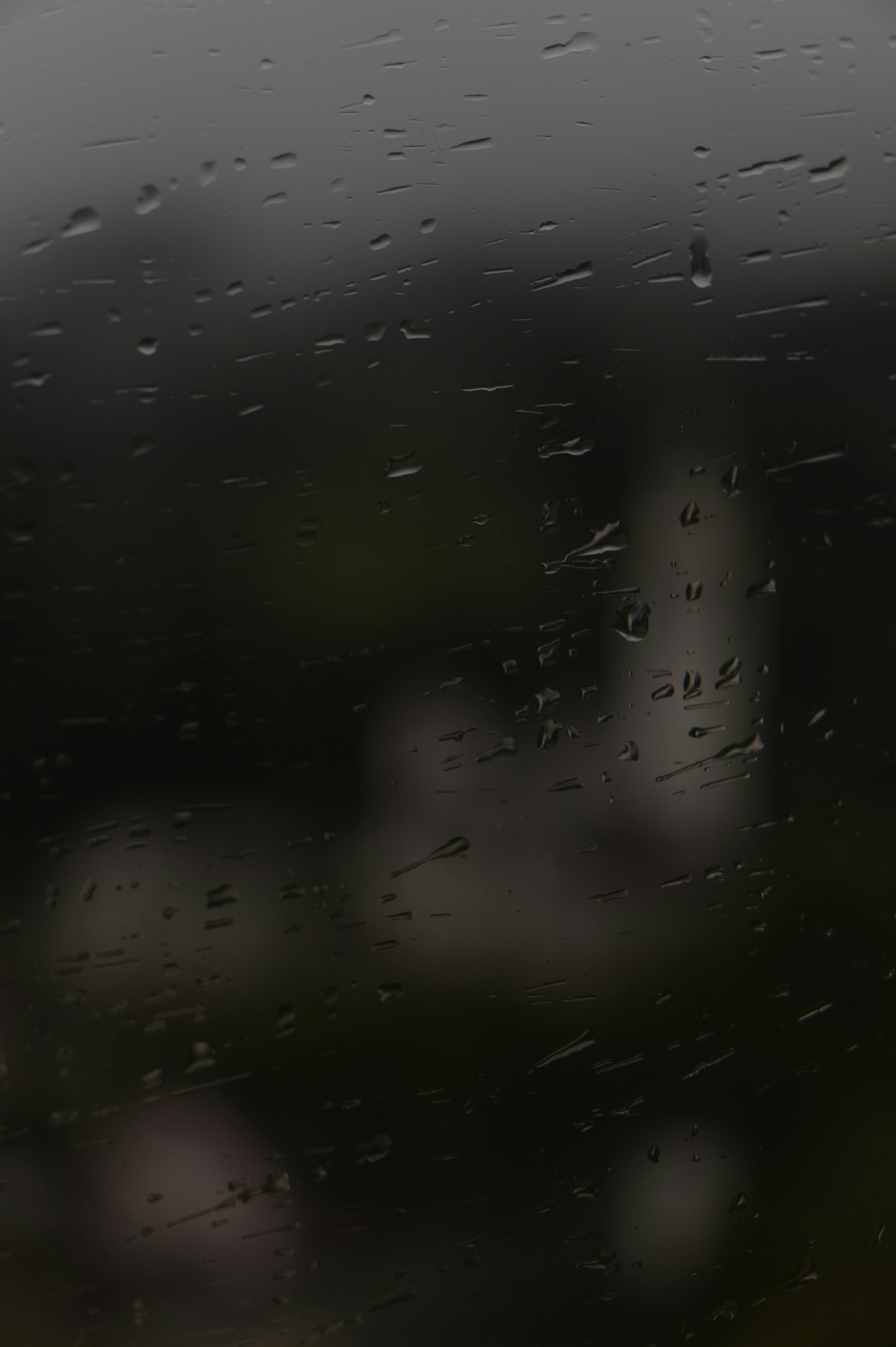 Photo by spaceboundstudio