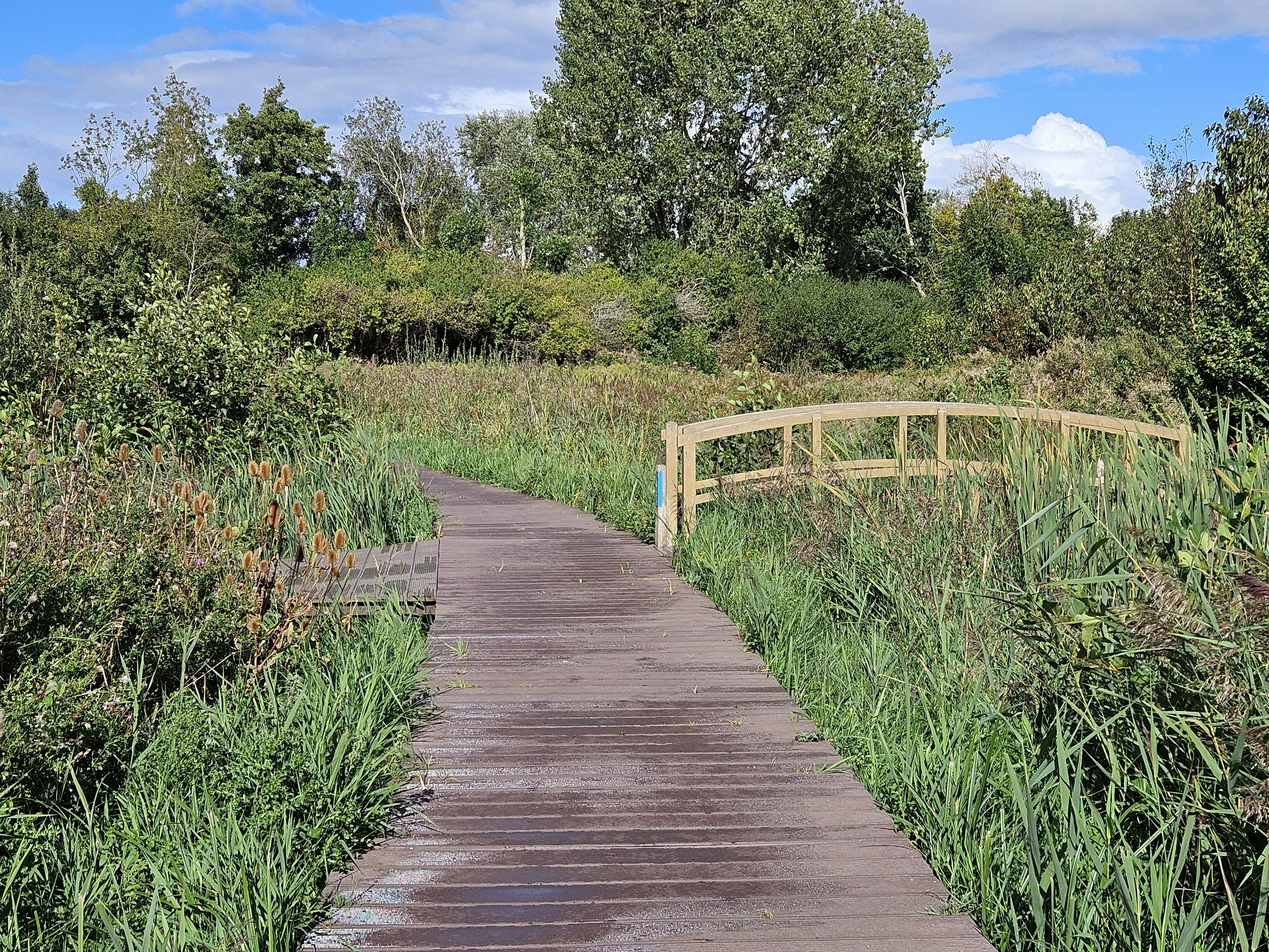 Vale of Glamorgan image