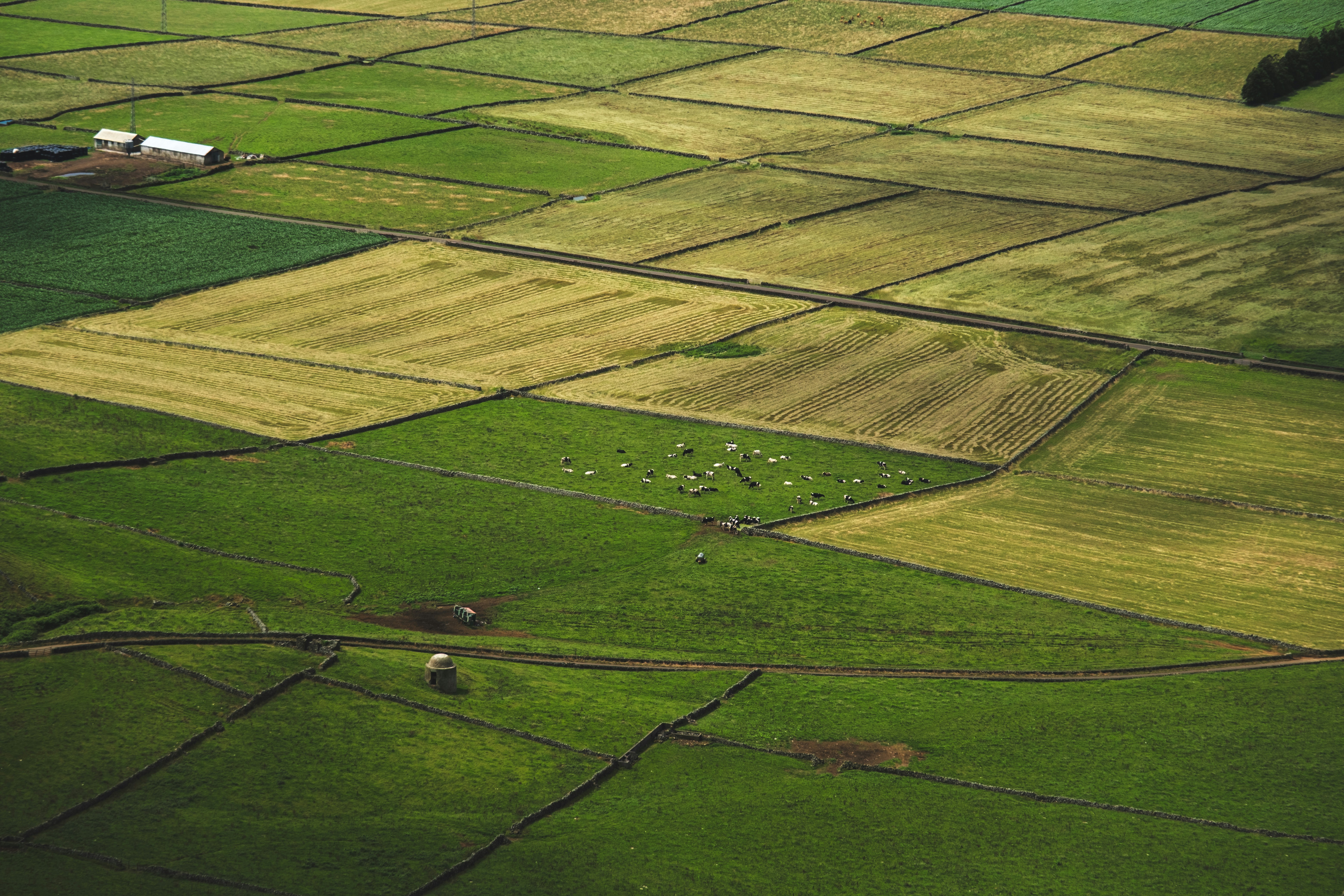 Photo by francesco_ungaro