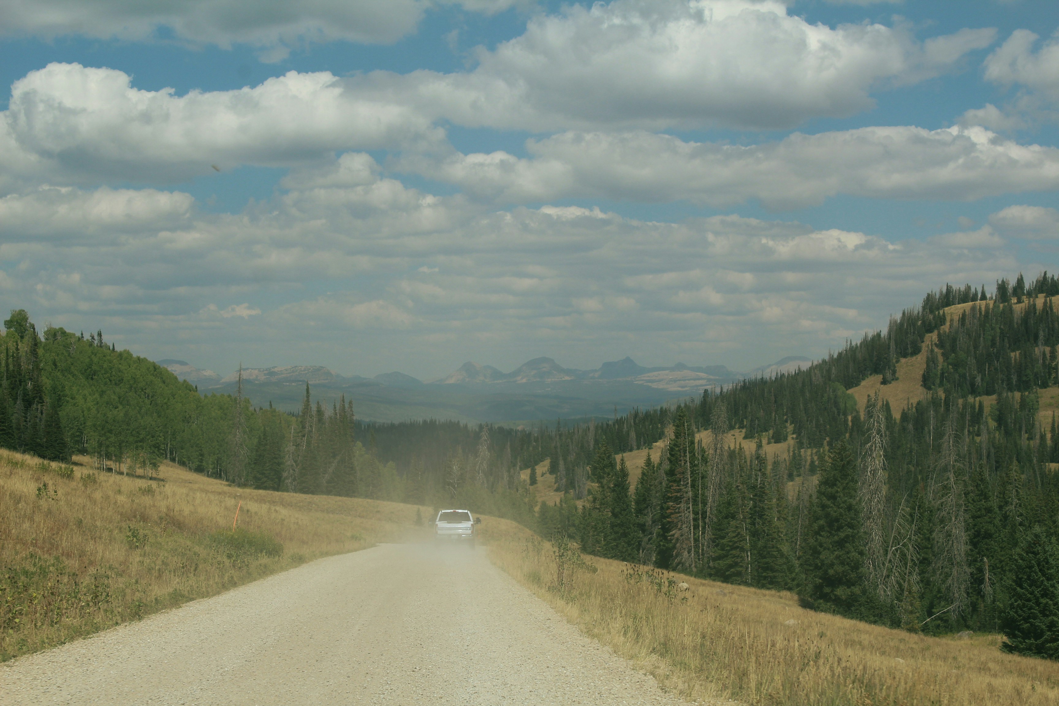 Dirt road through a forested mountain valley