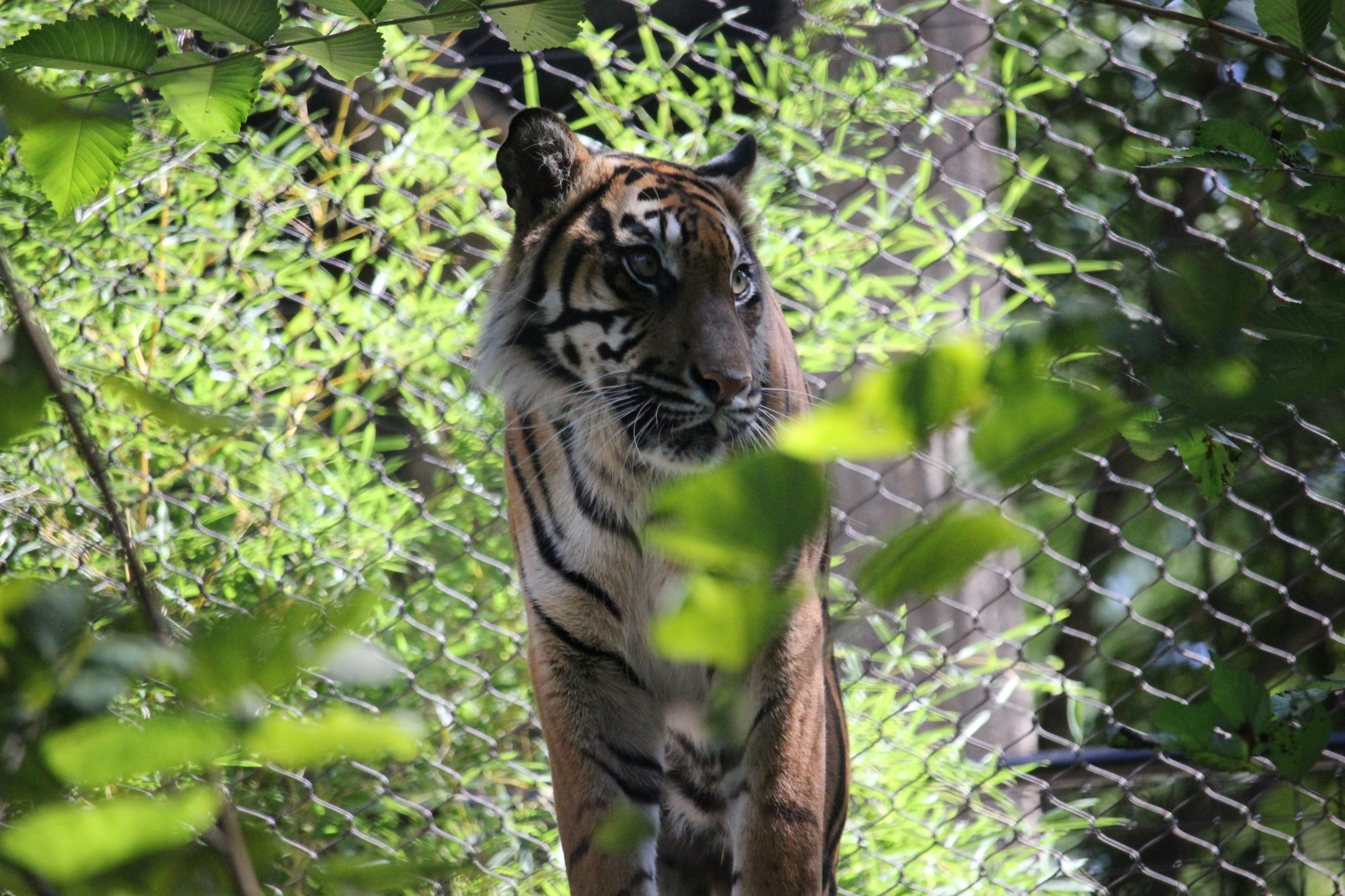 Photo by hjenkins0429