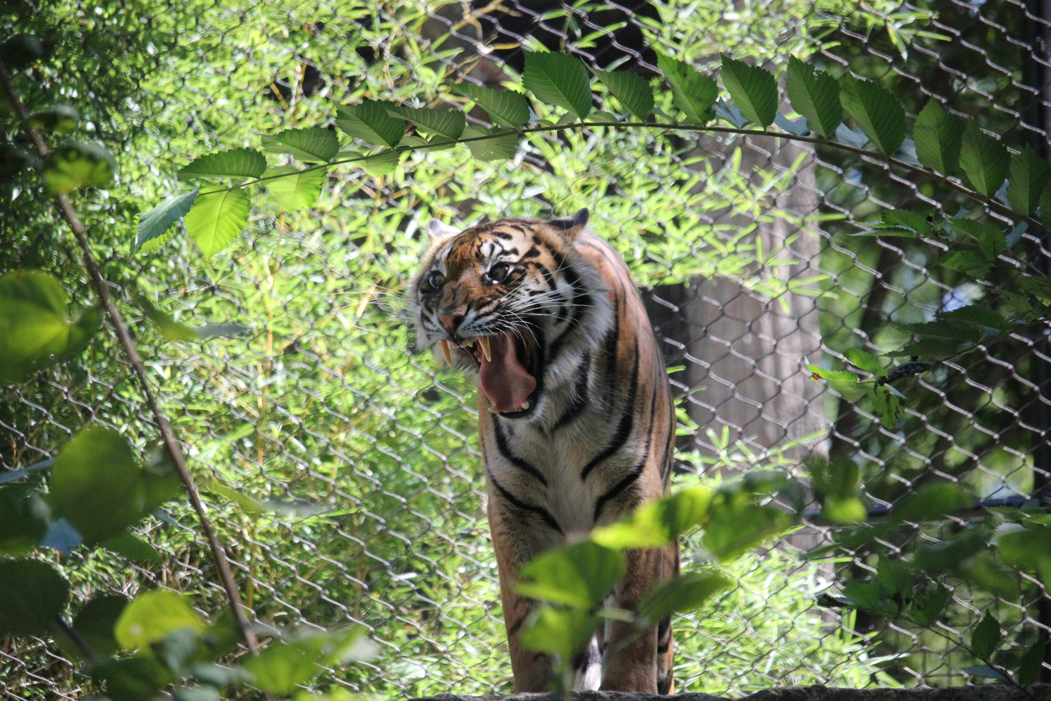 Photo by hjenkins0429