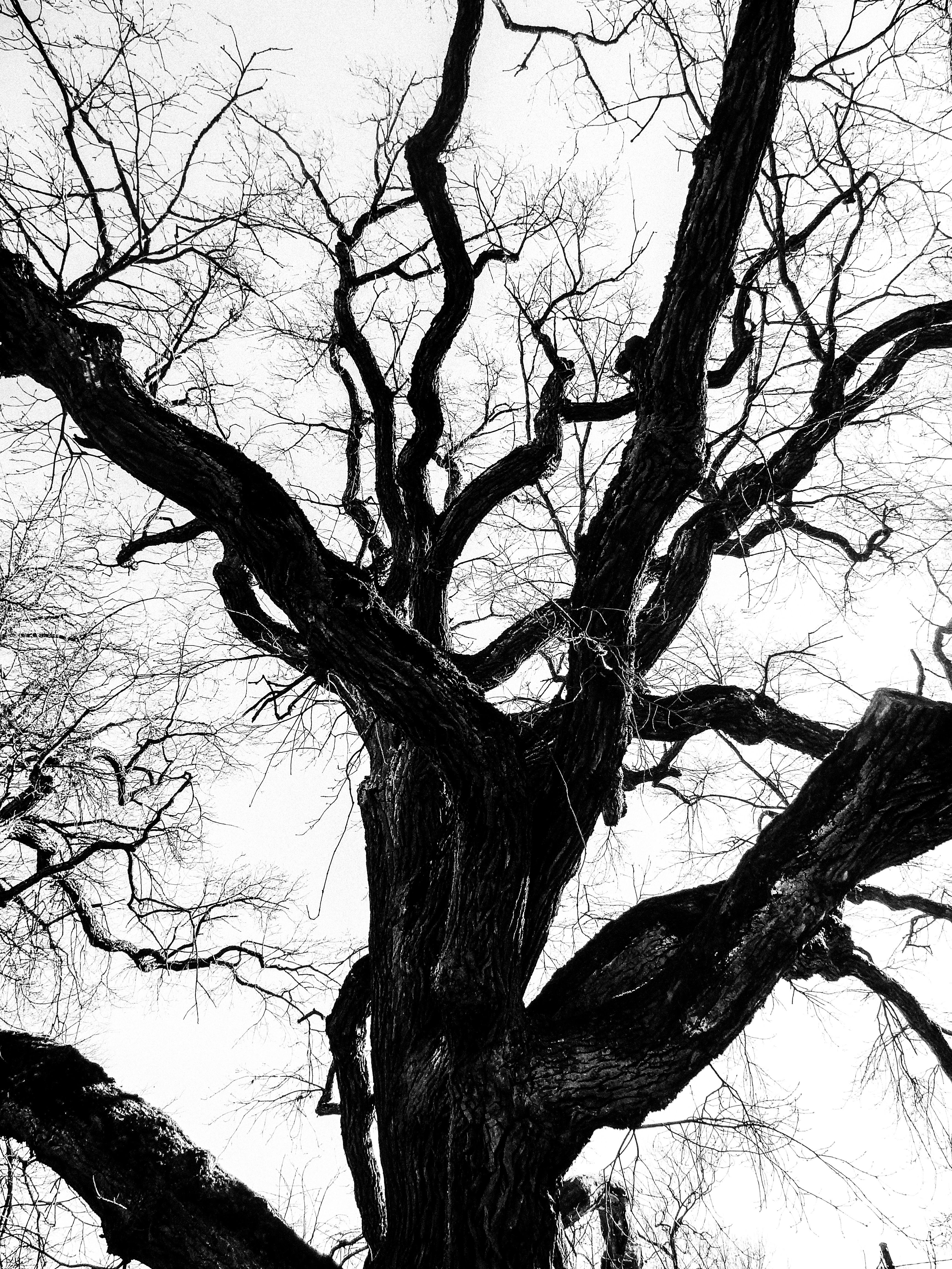 Photo by reinisbruzitis