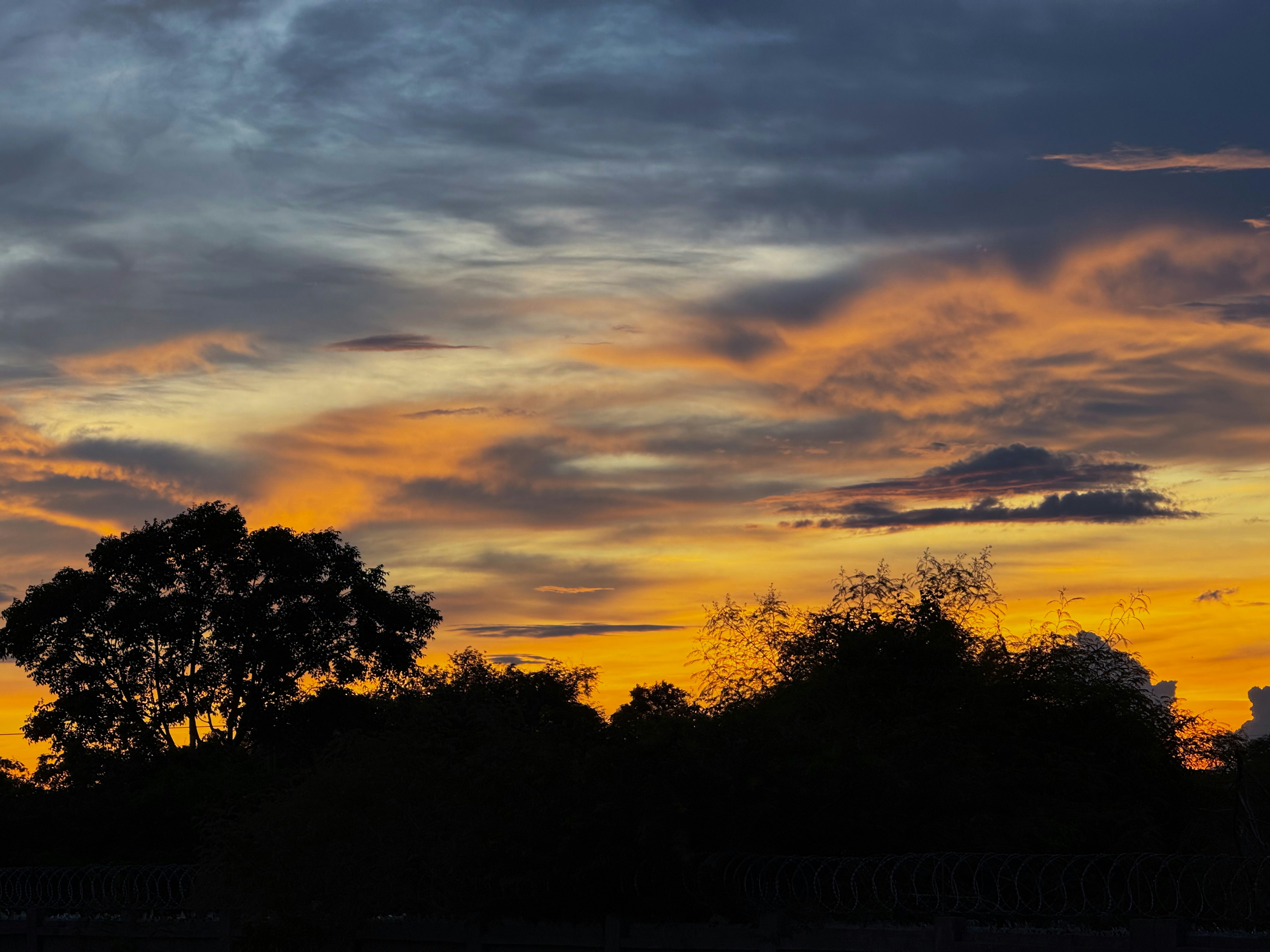 Photo by pineapplexpizza