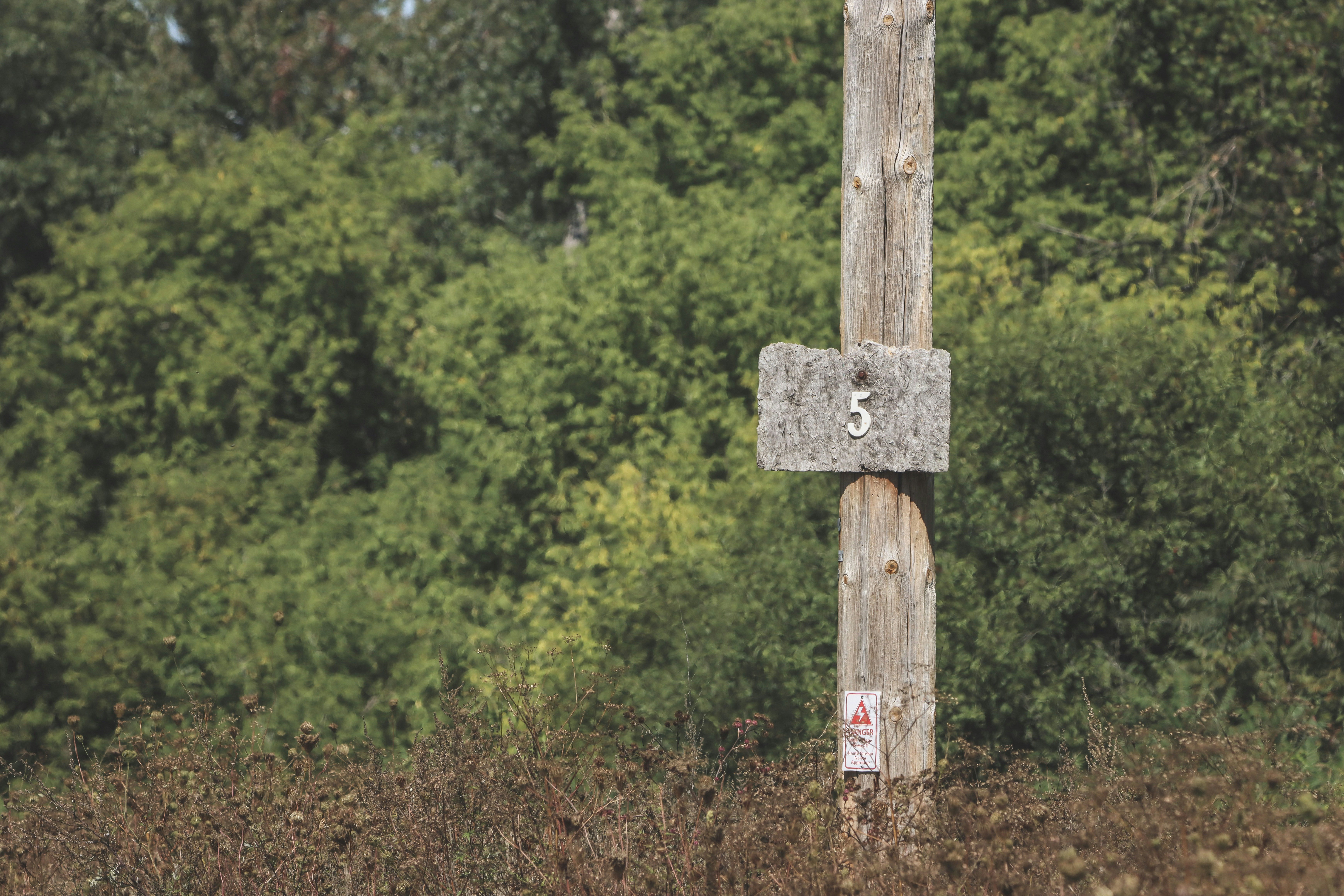 Photo by stephgibeaultart