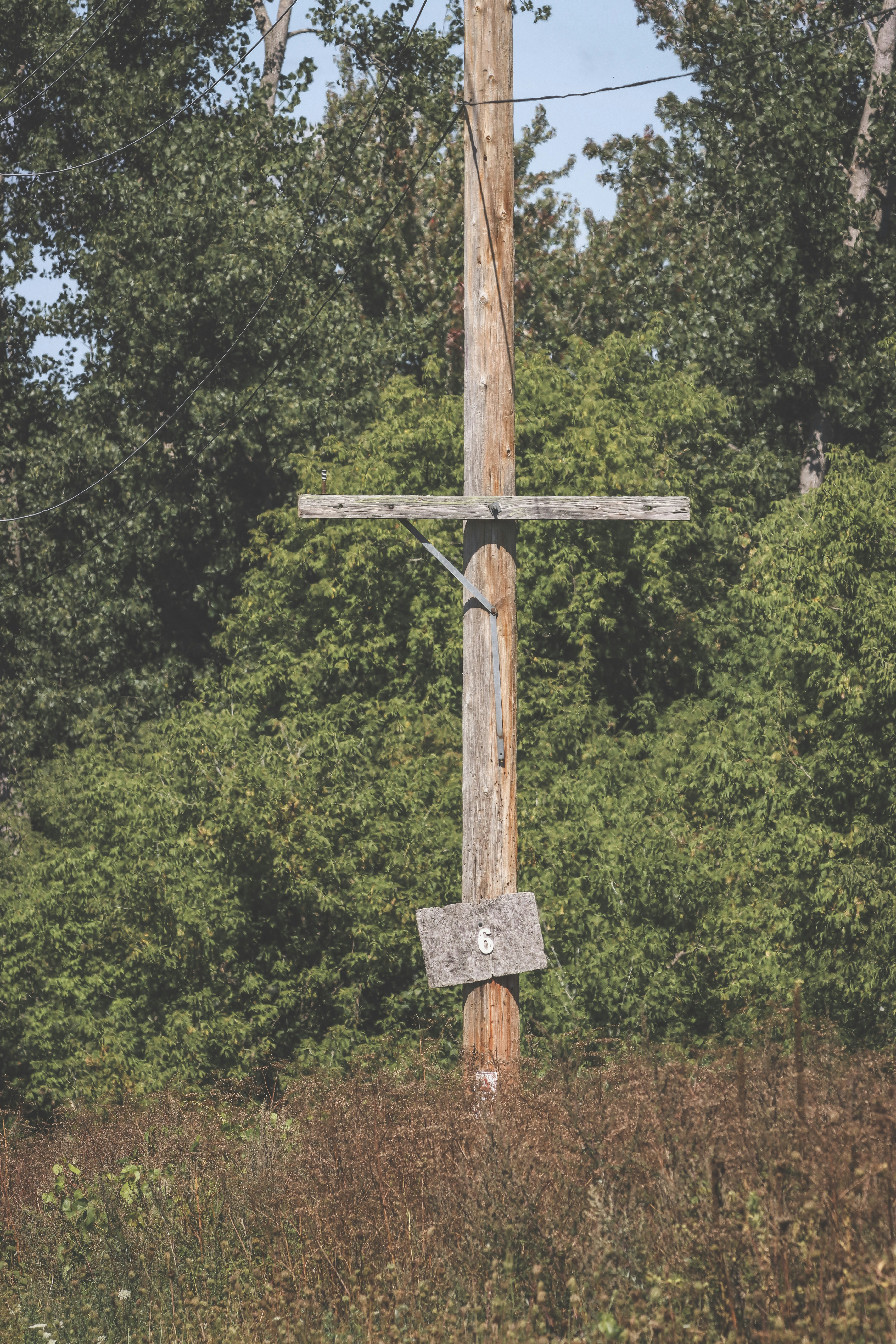 Photo by stephgibeaultart