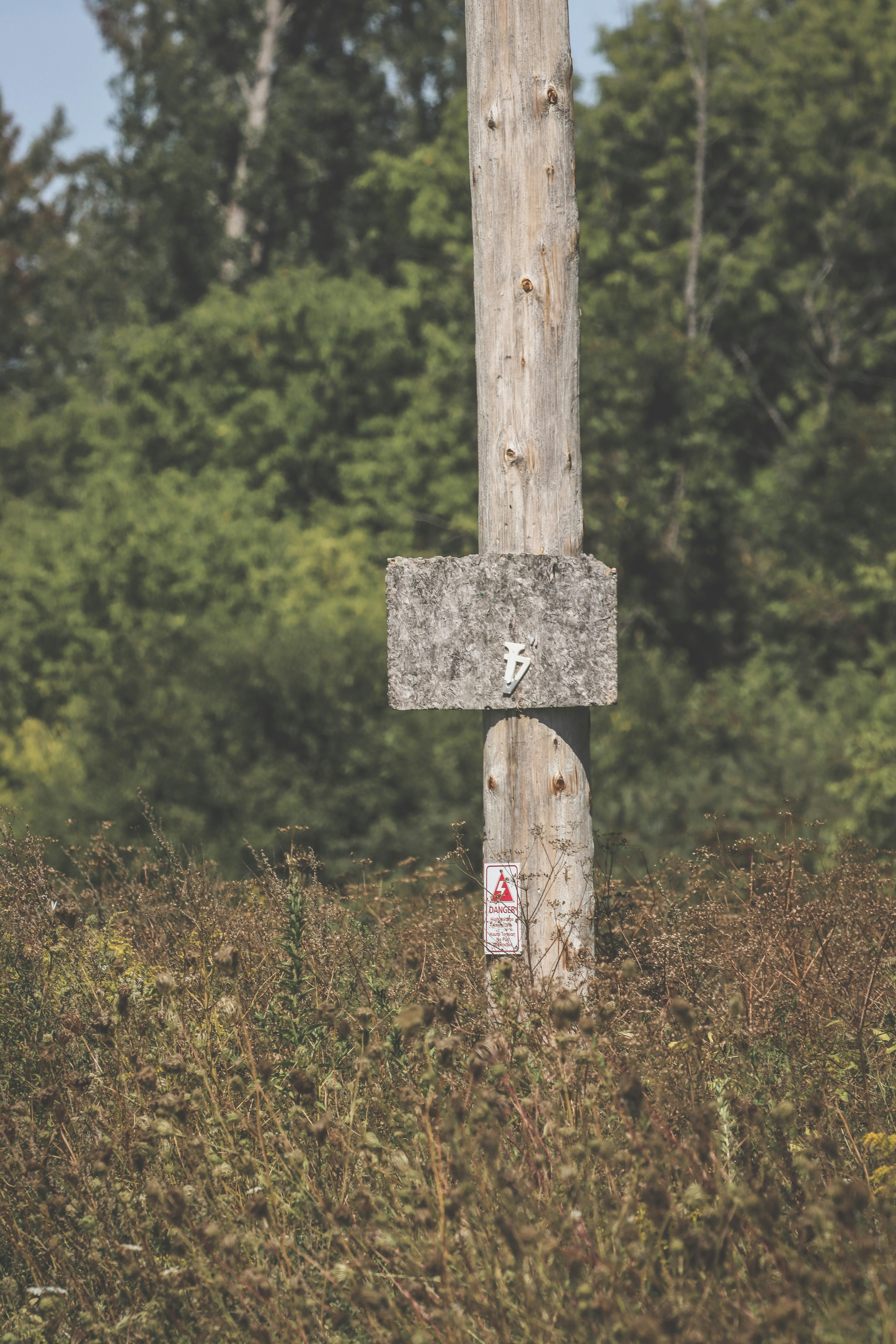 Photo by stephgibeaultart