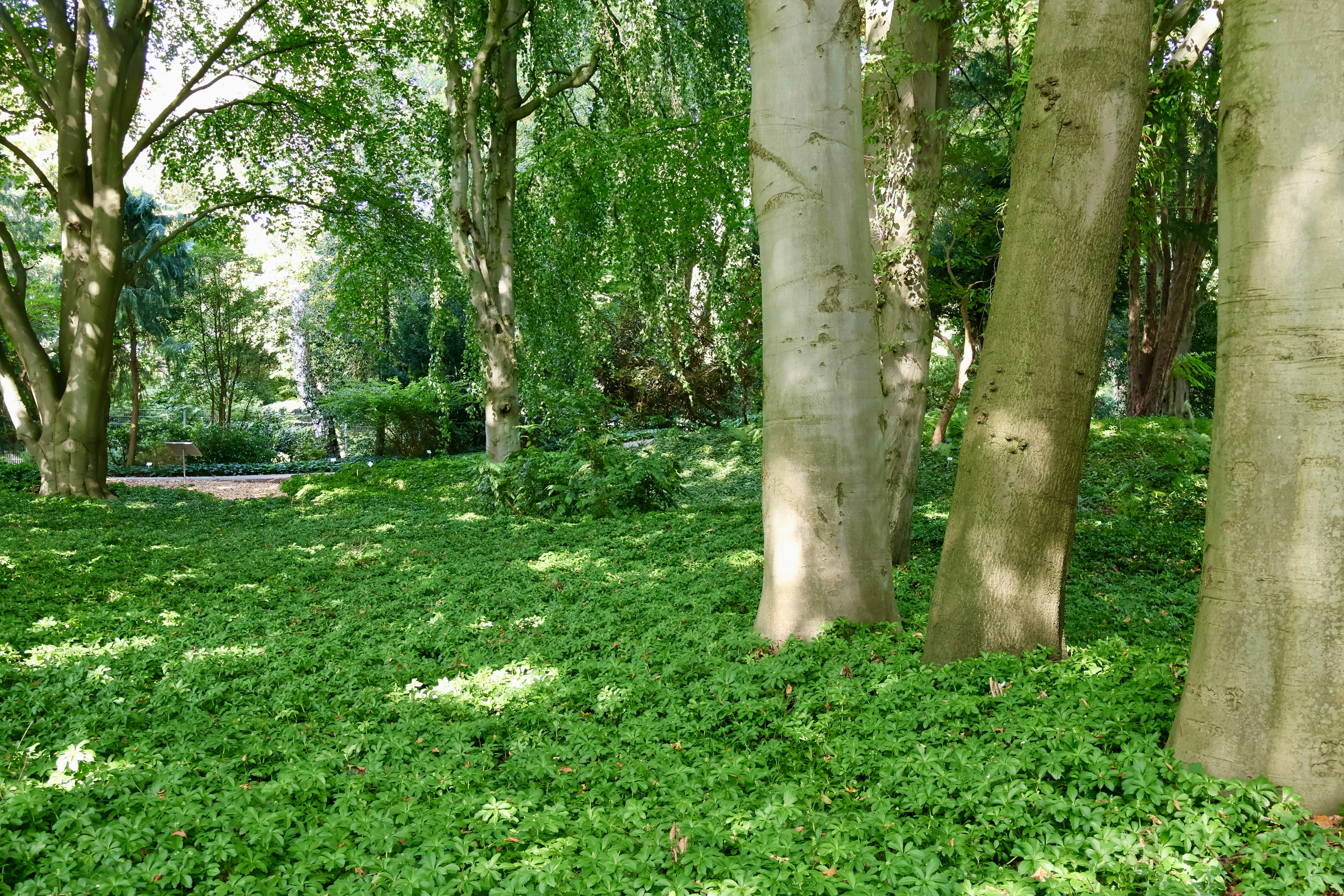 Photo by sanneschroeder