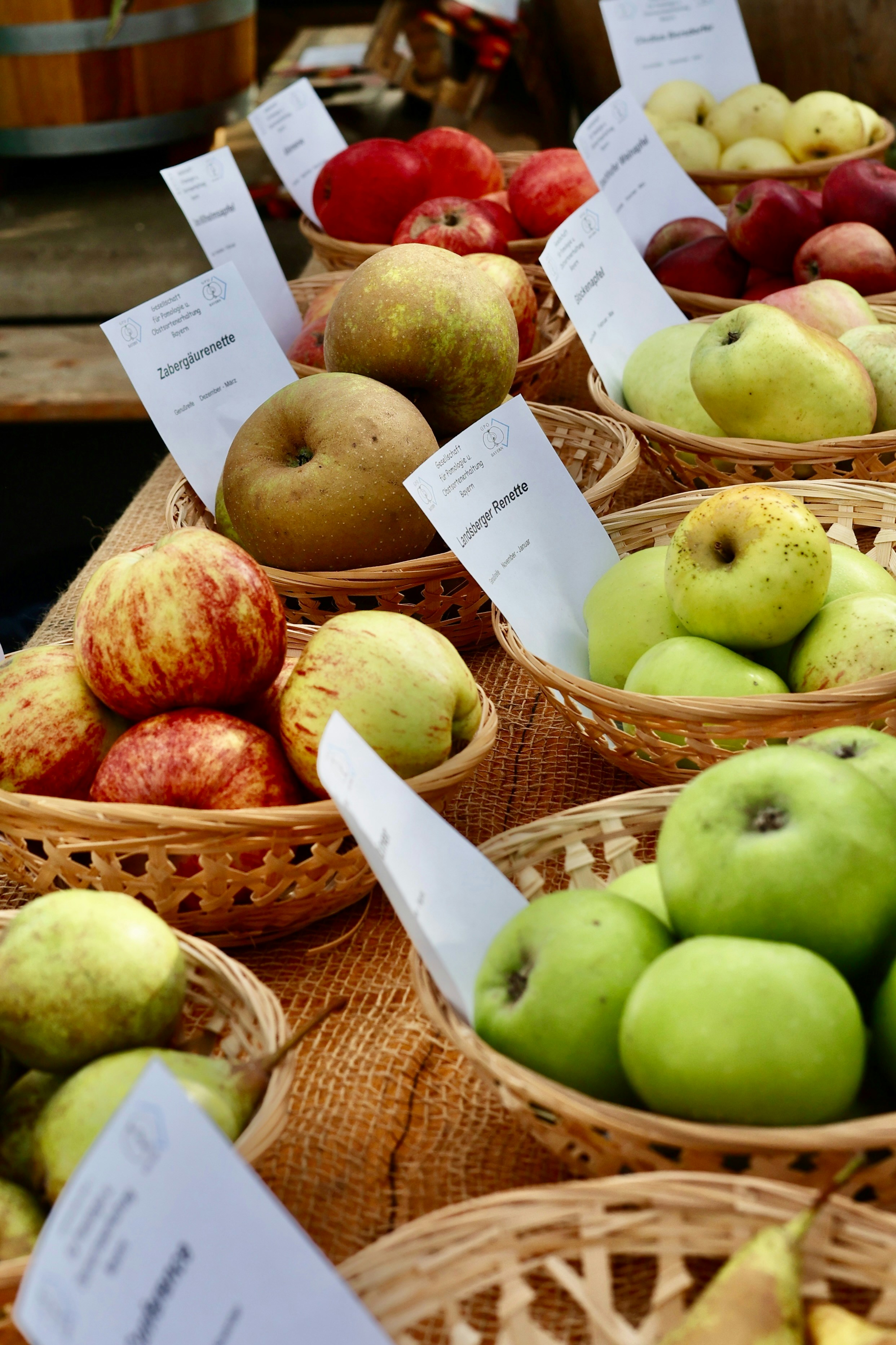 Photo by sanneschroeder