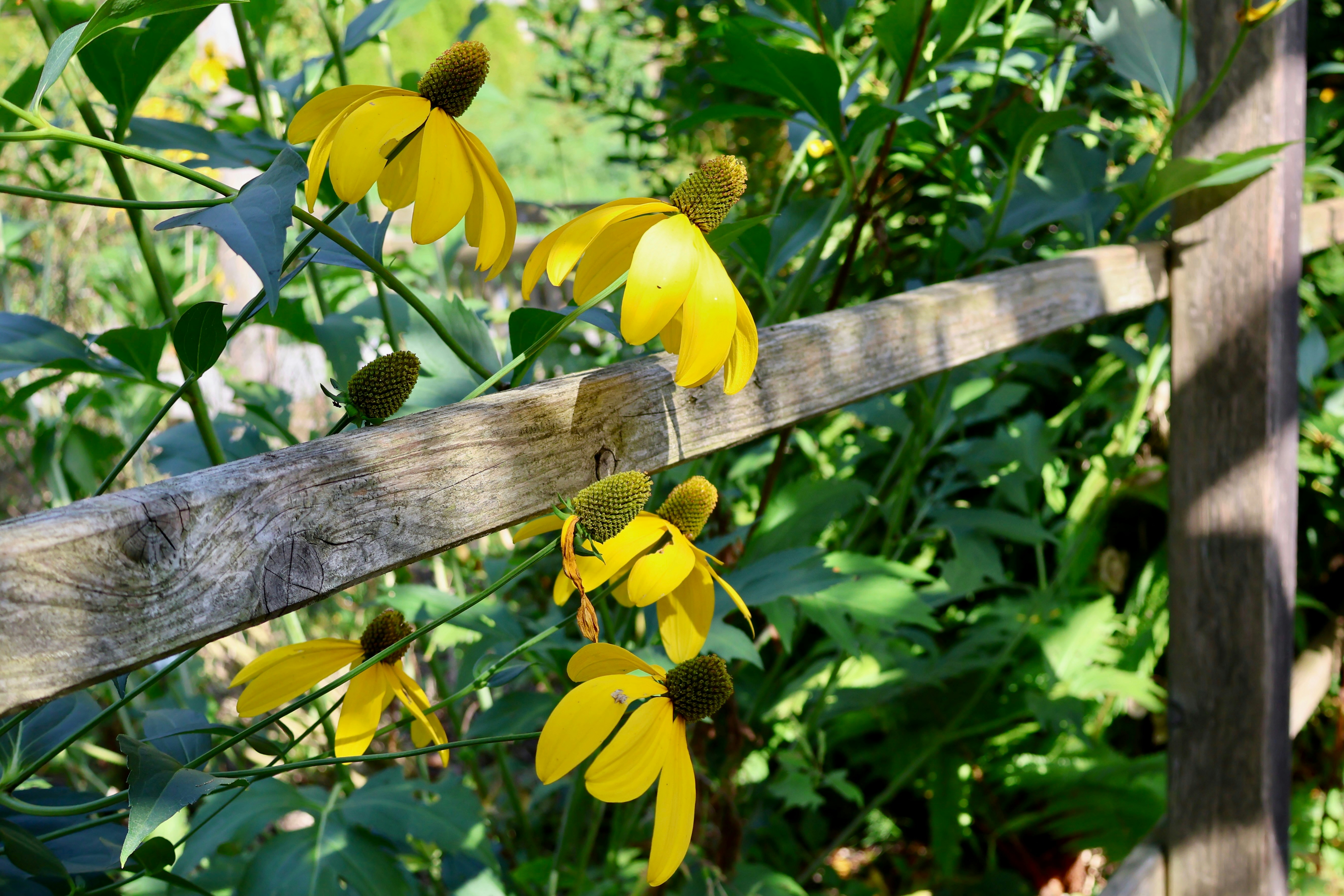 Photo by sanneschroeder