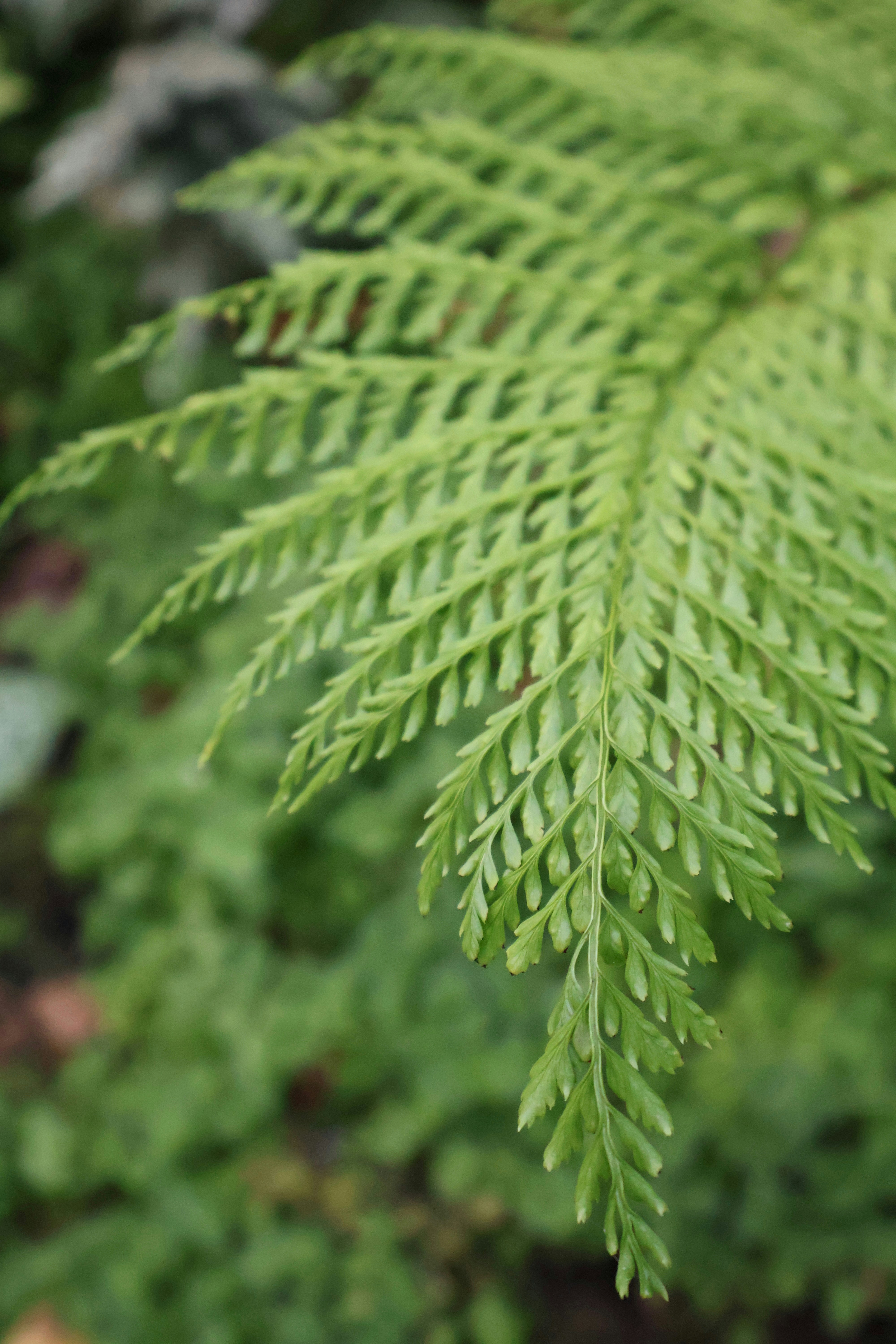 Photo by sanneschroeder