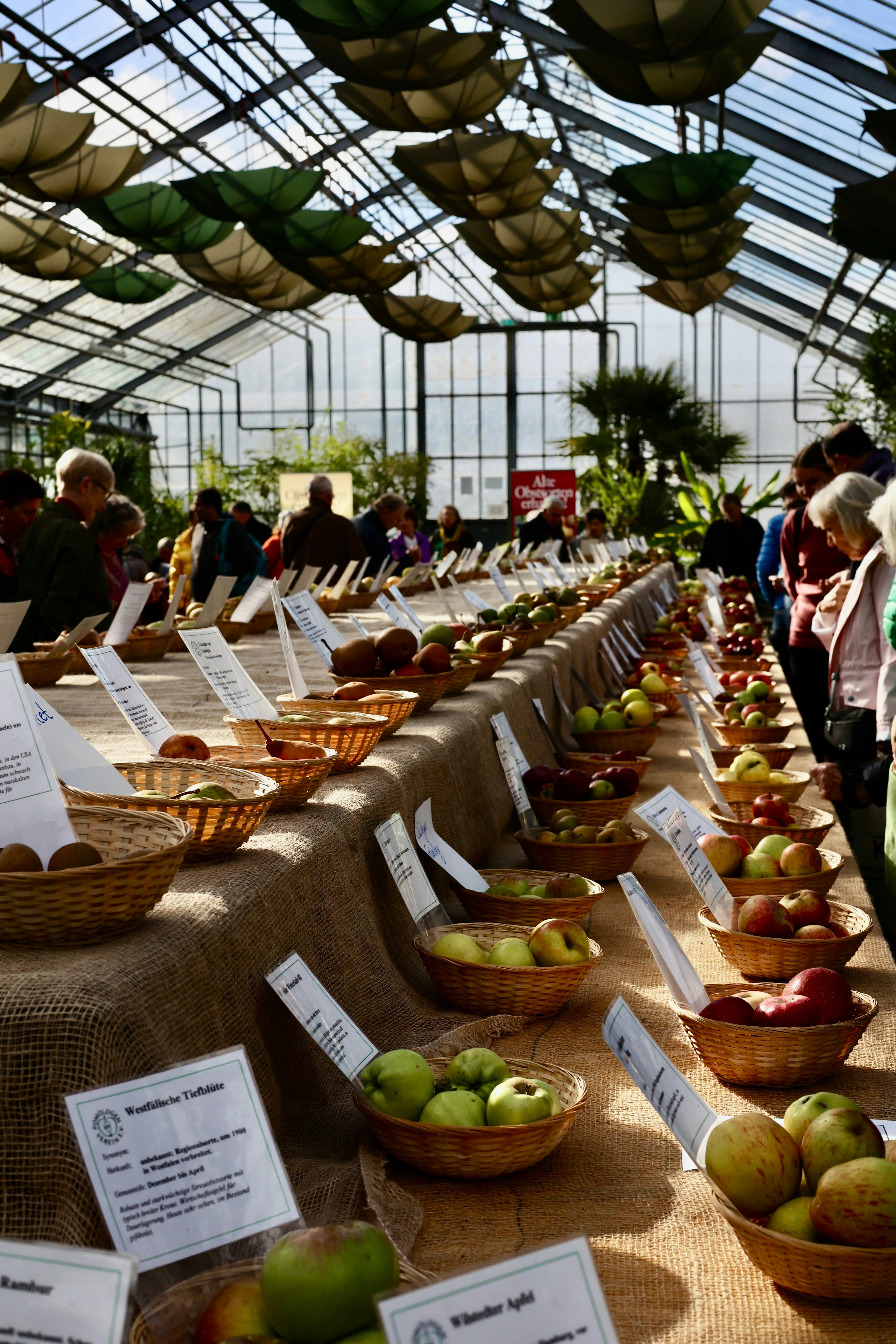 EATS 2025 Sets the Stage for Immersive Tech, Culinary & Live-Production Showcases