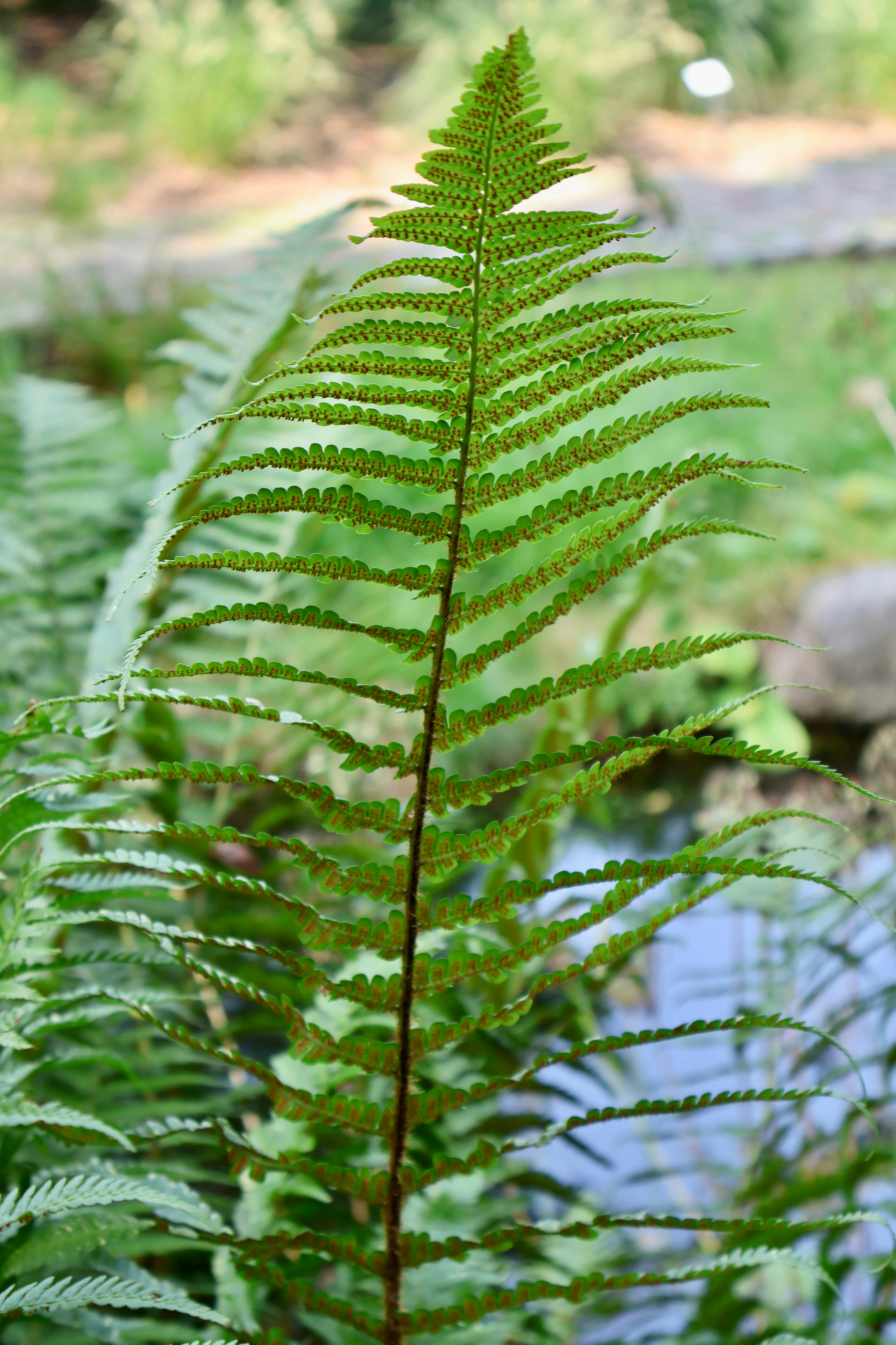 Photo by sanneschroeder