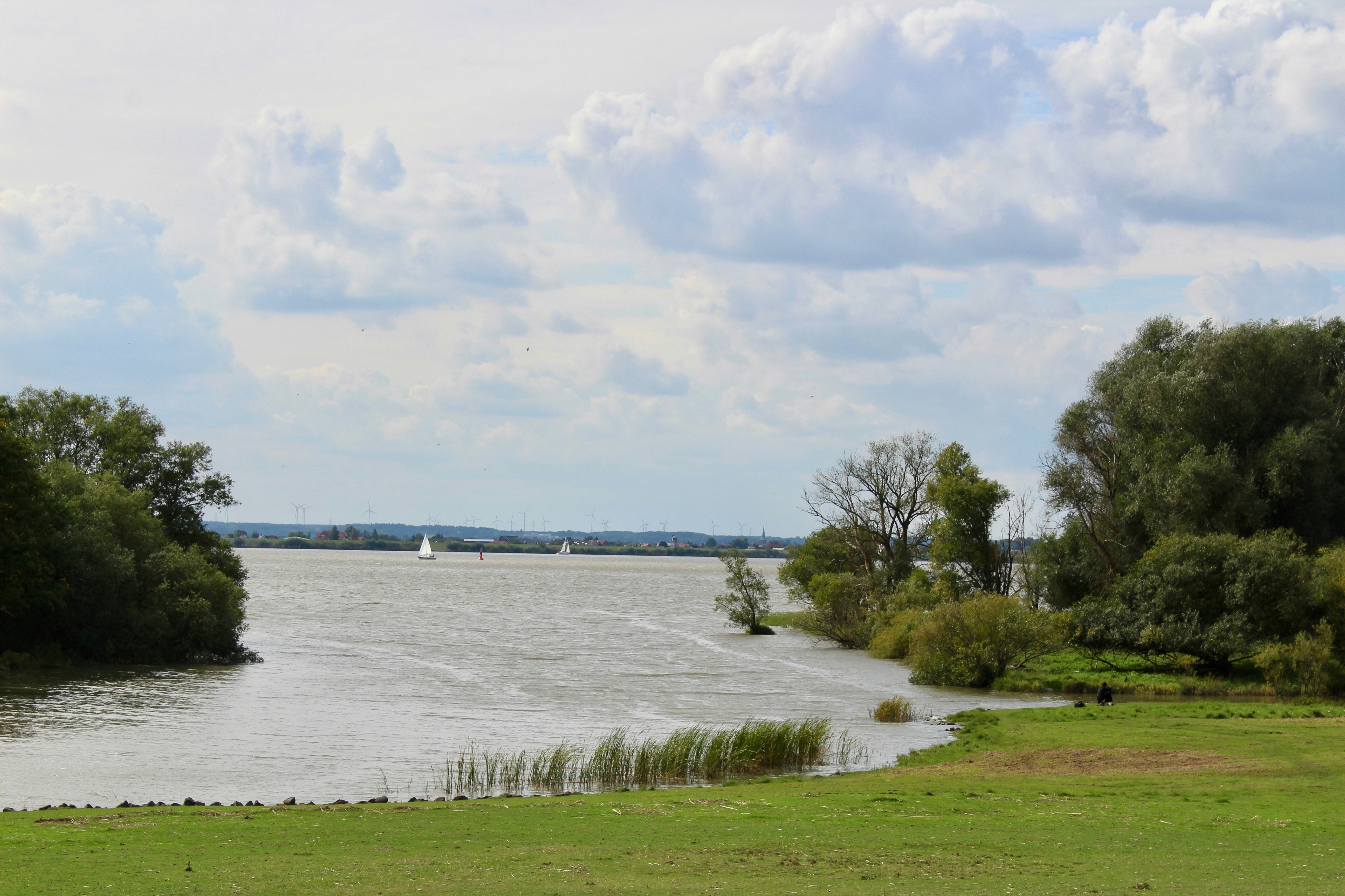 Photo by sanneschroeder