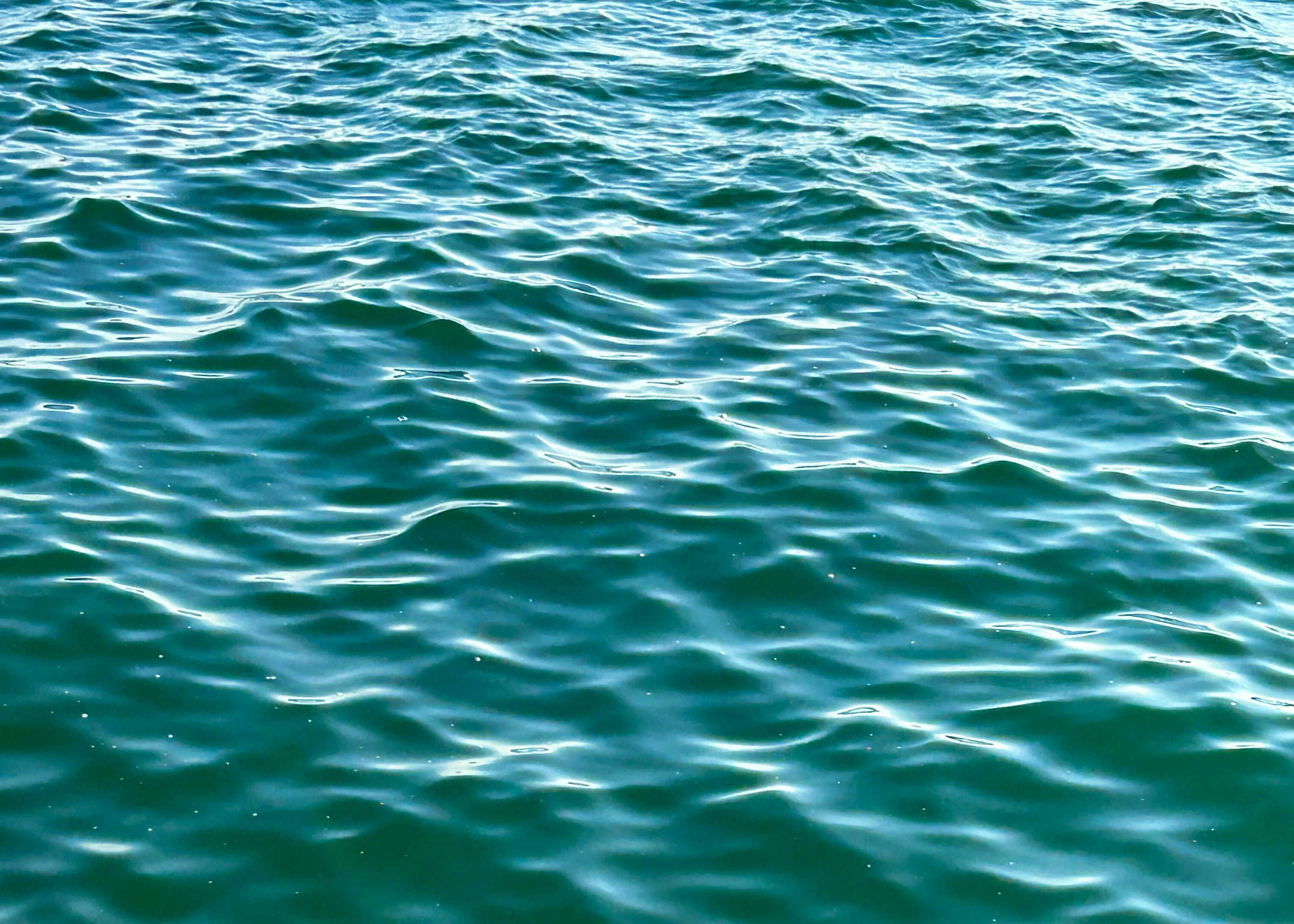 Photo by anushkaasharma