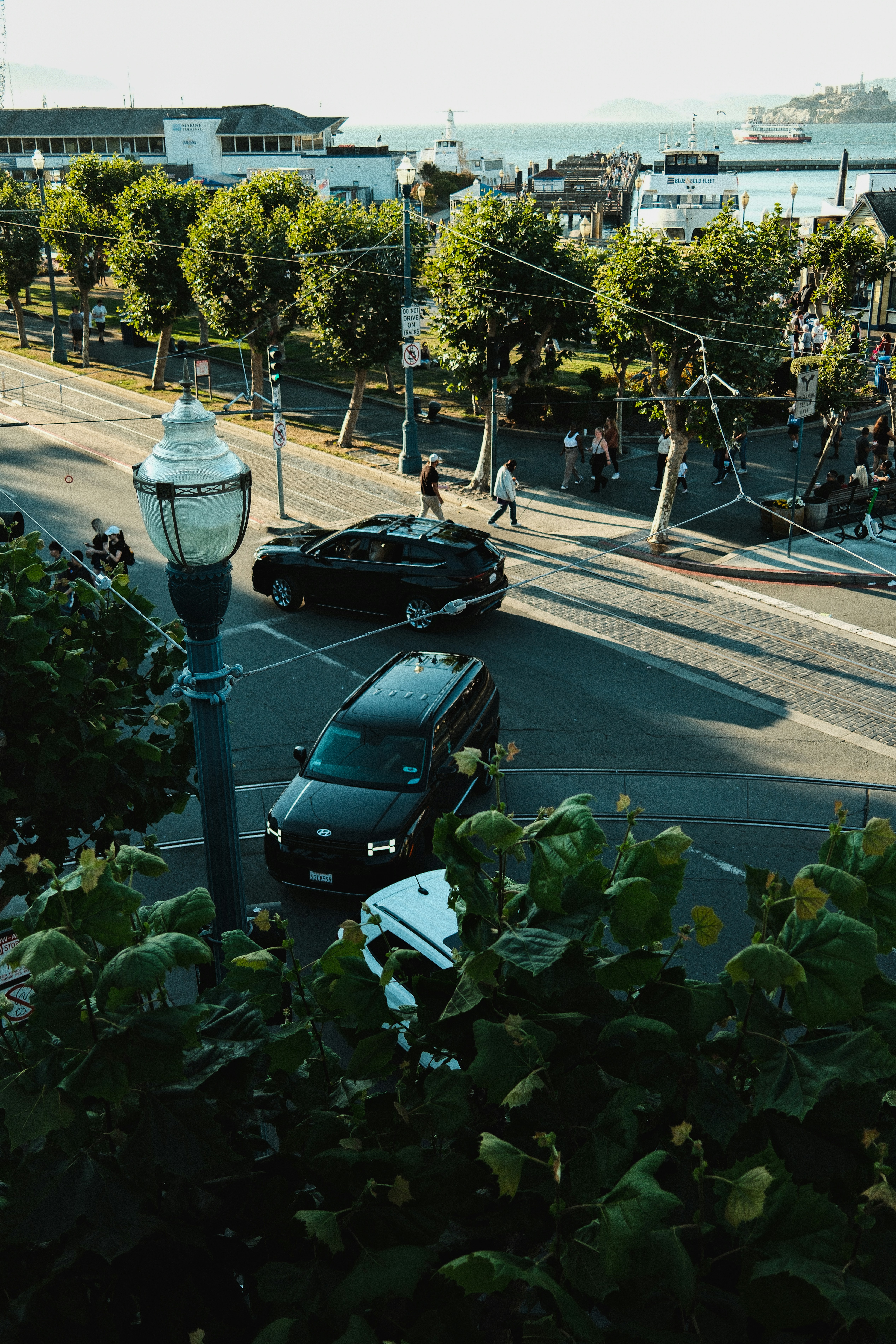 Photo by kalaniparker