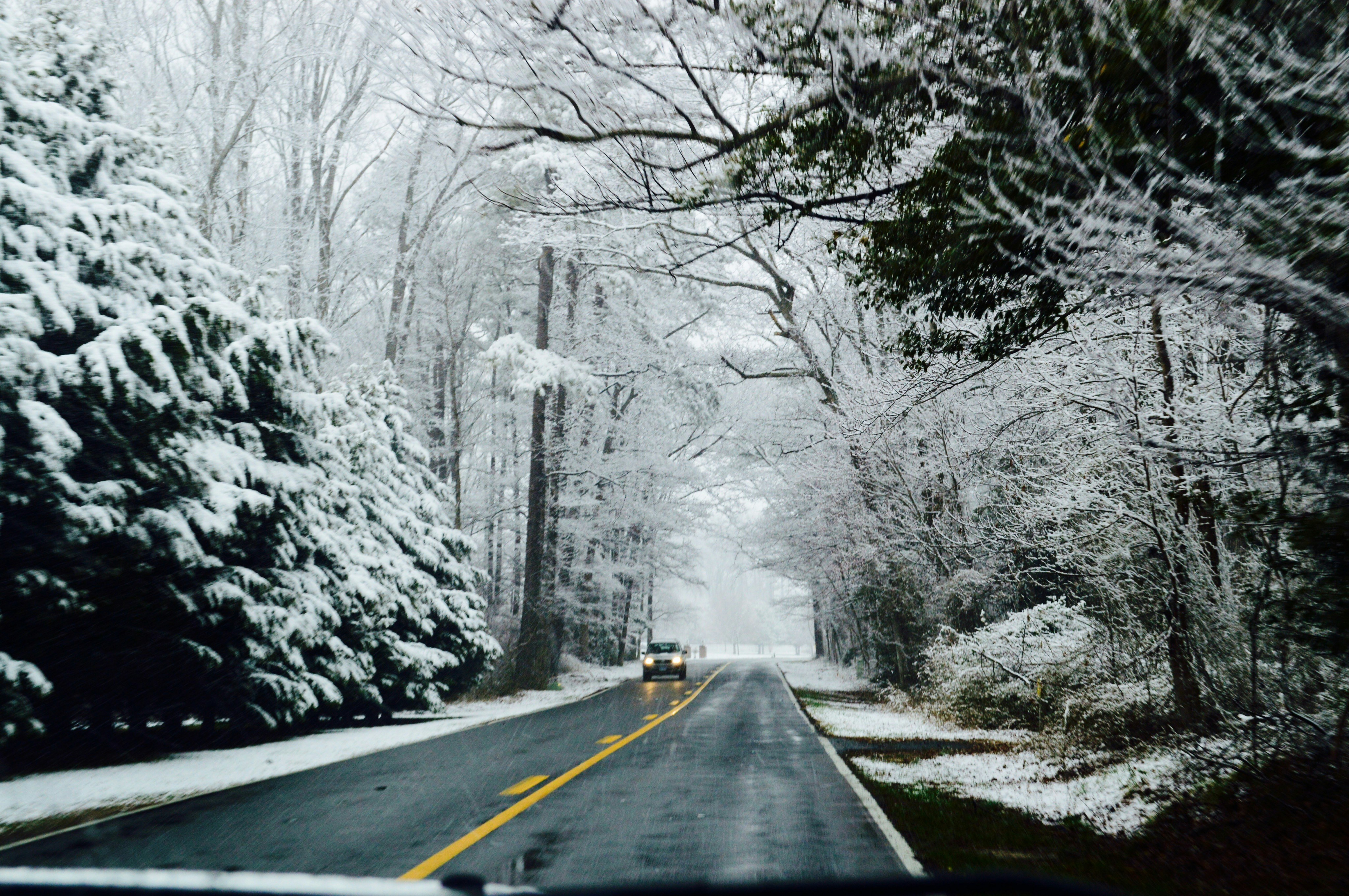 Photo by laur3ntayl0r