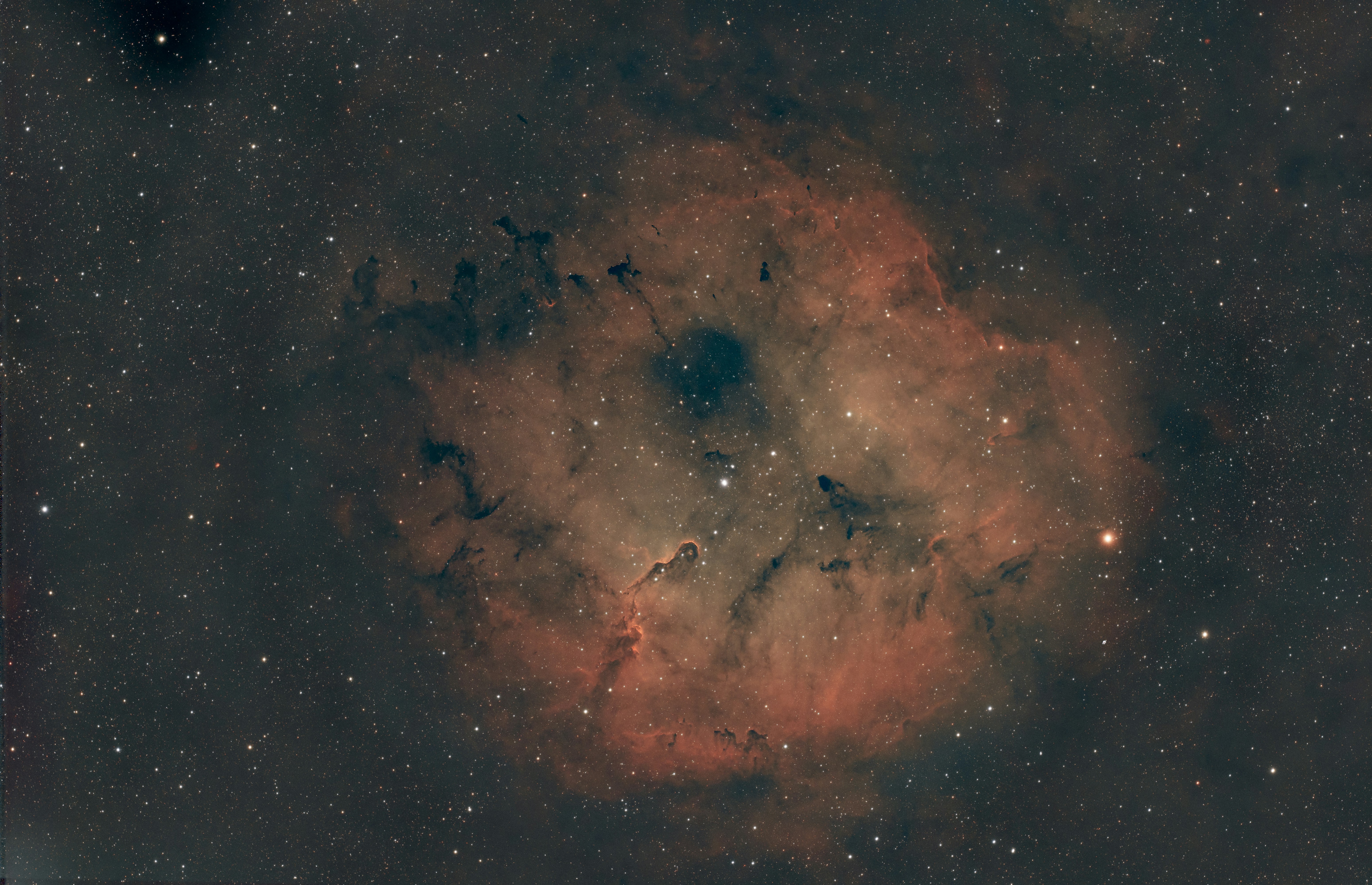 Integrative Nourishment: Nurturing For Vigor, Harmony, And Long Life