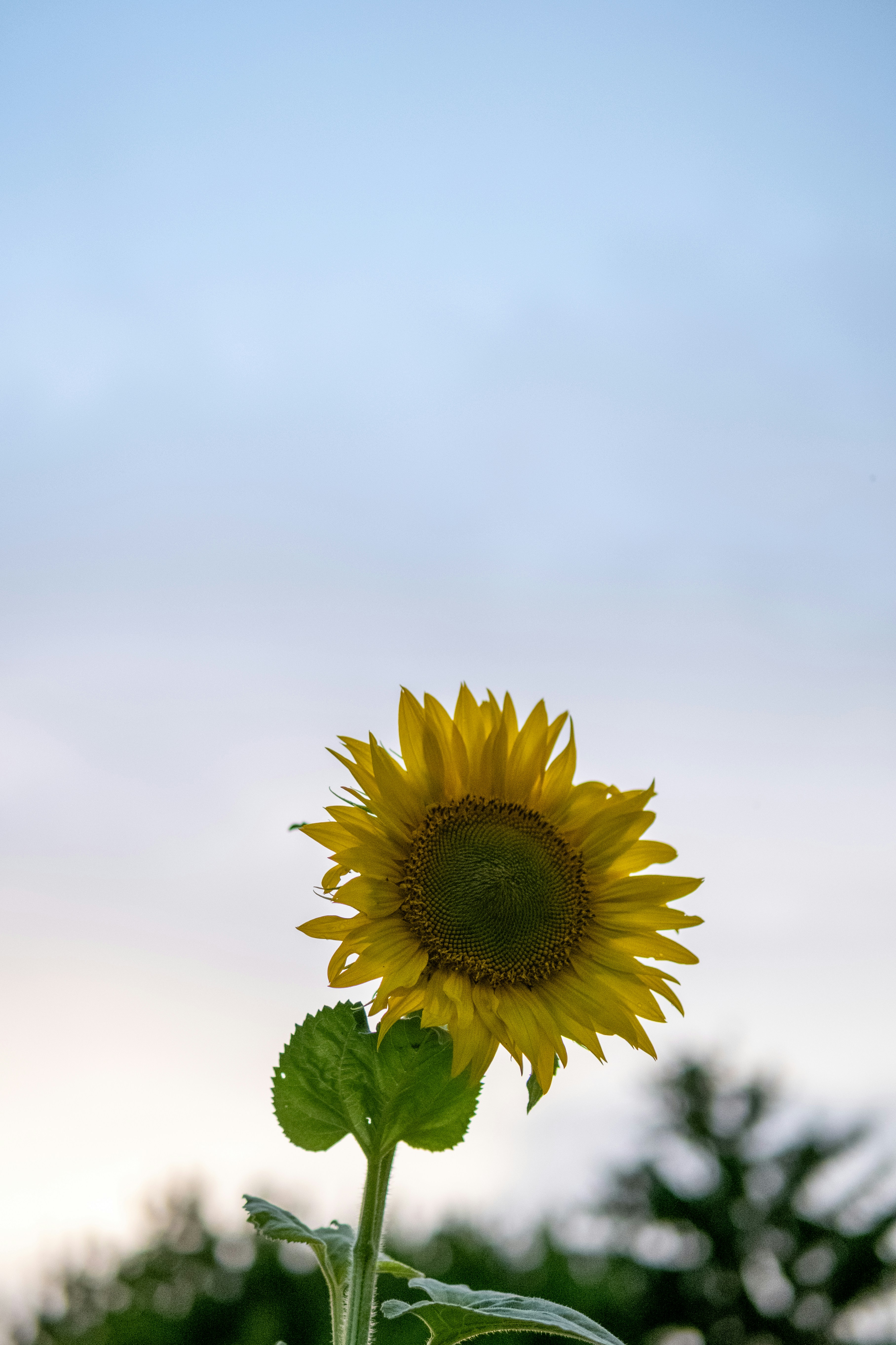 Photo by fujischmidt