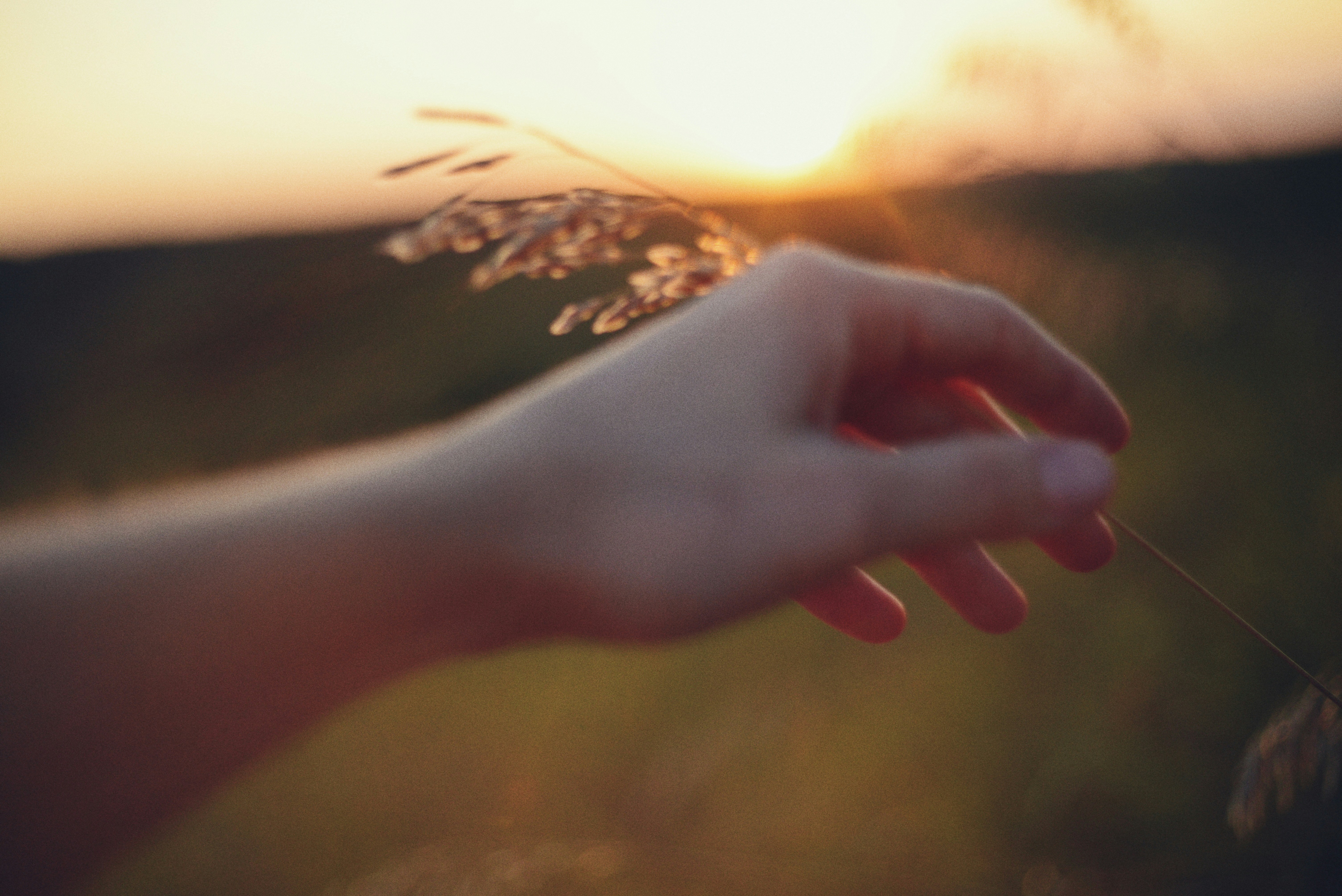 Photo by cherstve_pechivo