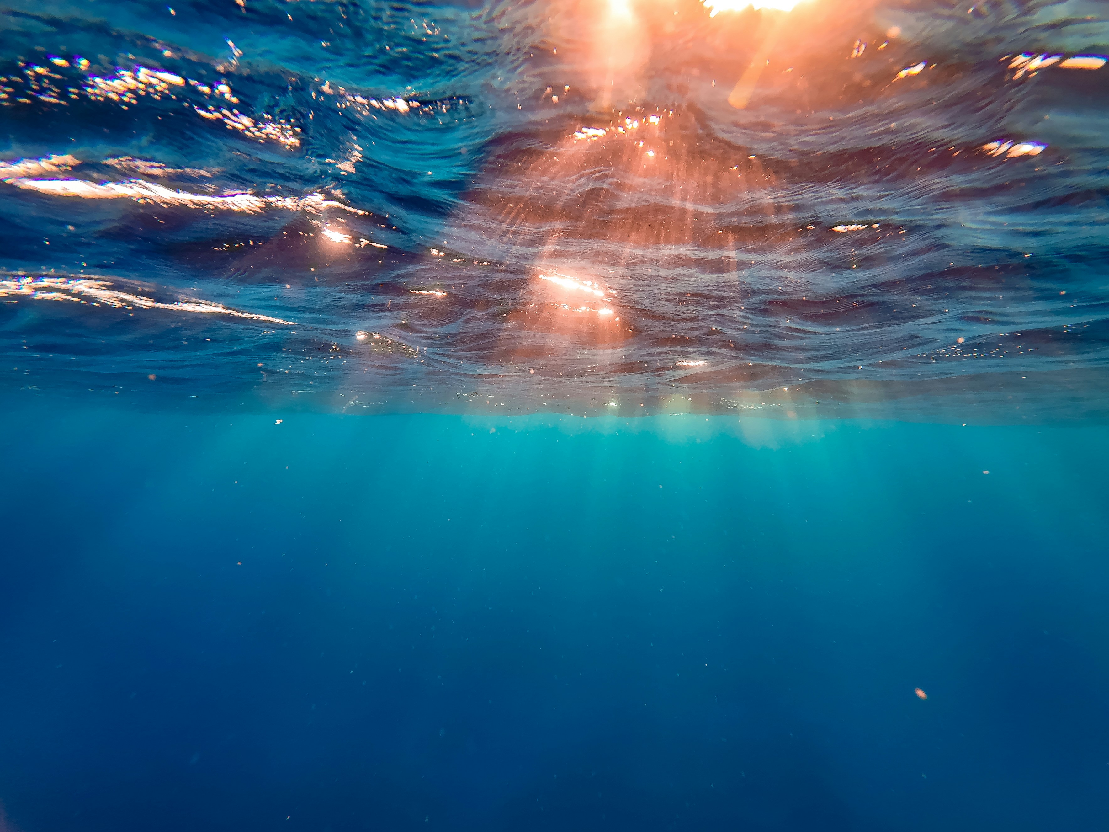 Bar Italia's Some Like It Hot Tour in Milan, image size:3000x2250