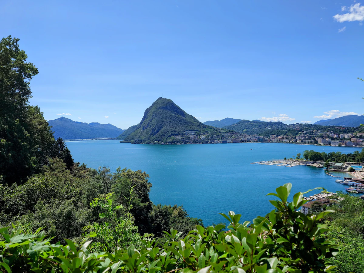 Il Lago di Lugano con il Monte San Salvatore e la vegetazione in primo piano