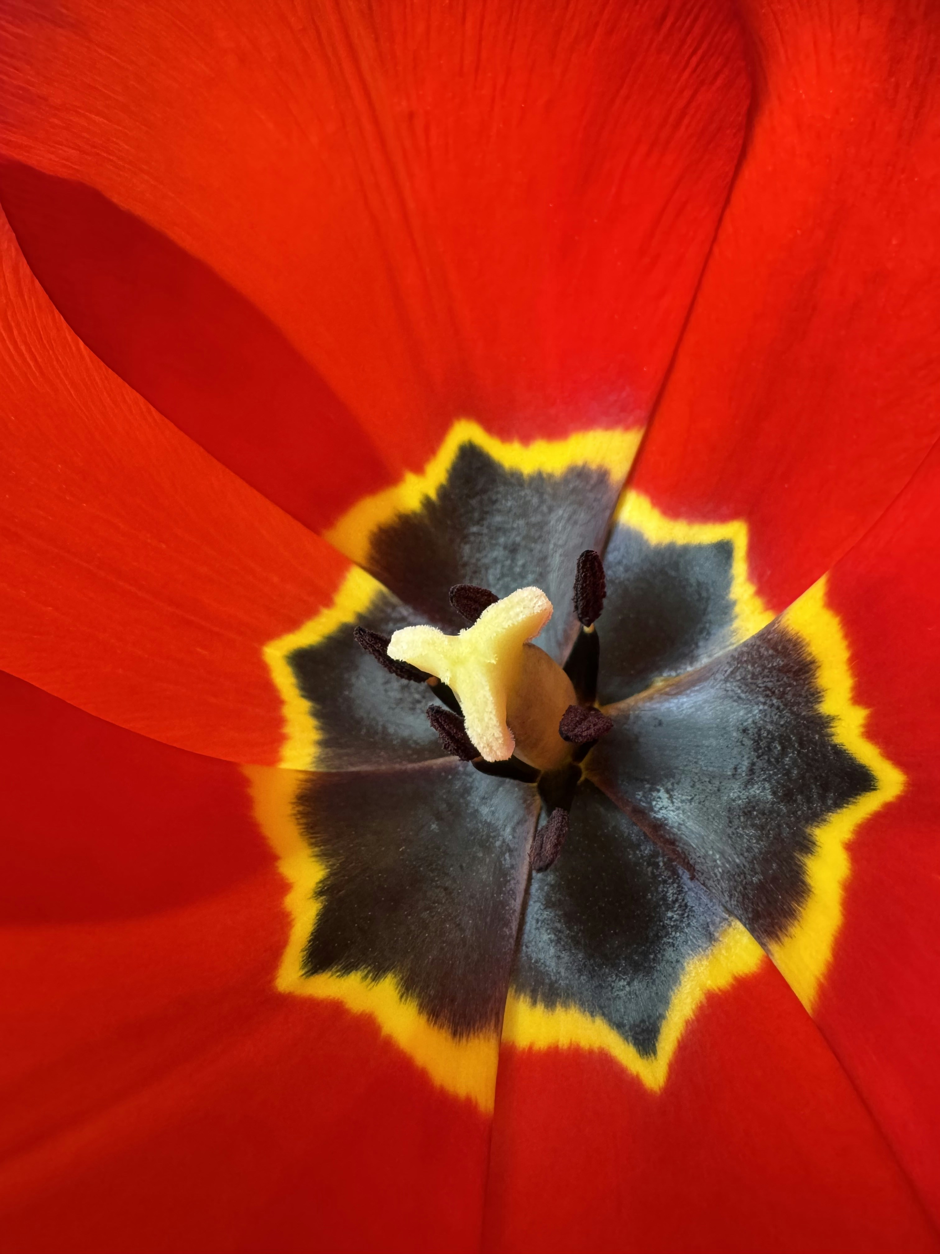 Photo by dmitry_vishnevsky