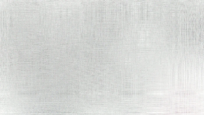 Stainless steel sample