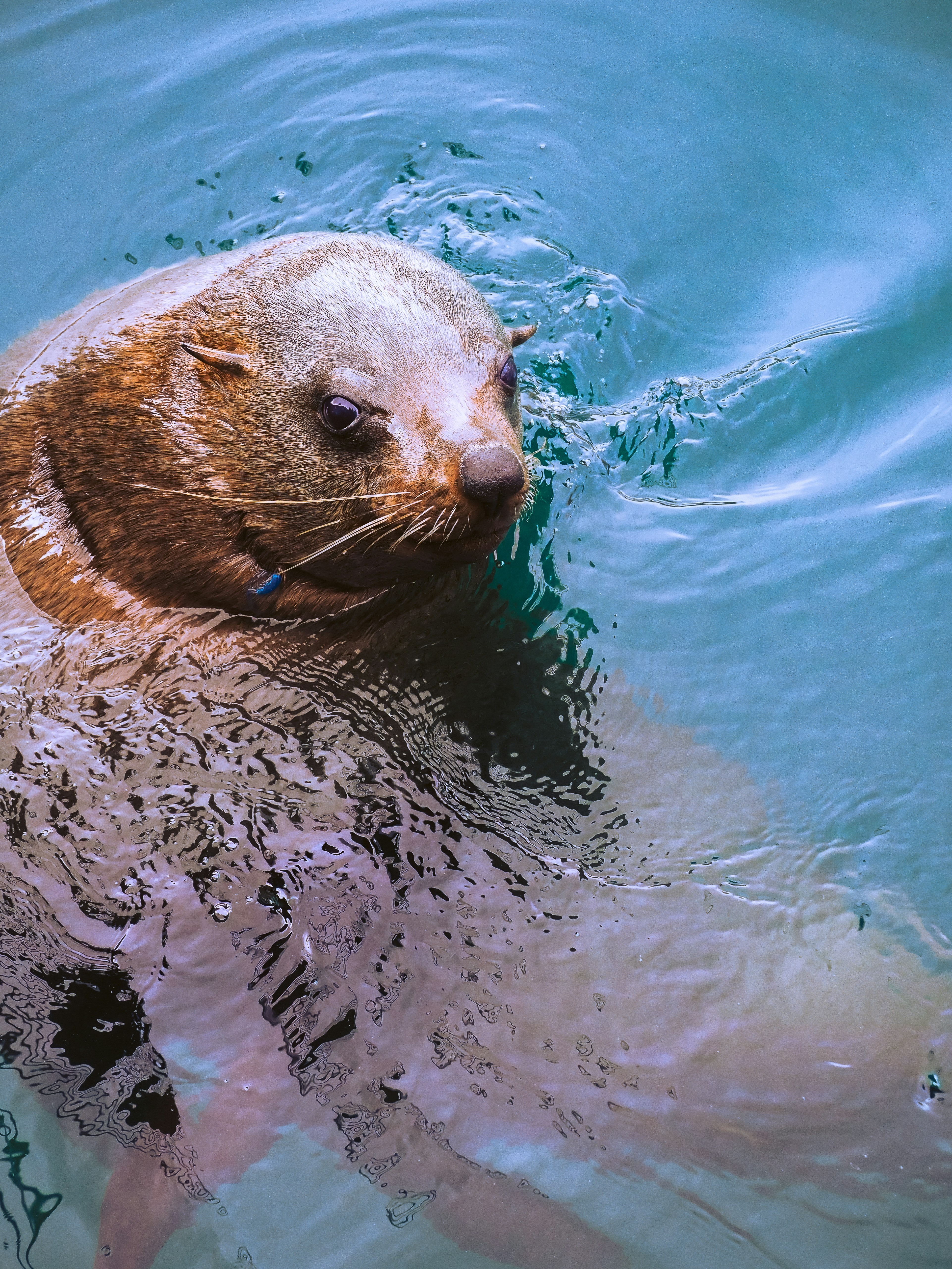 Photo by yikaisun_0831