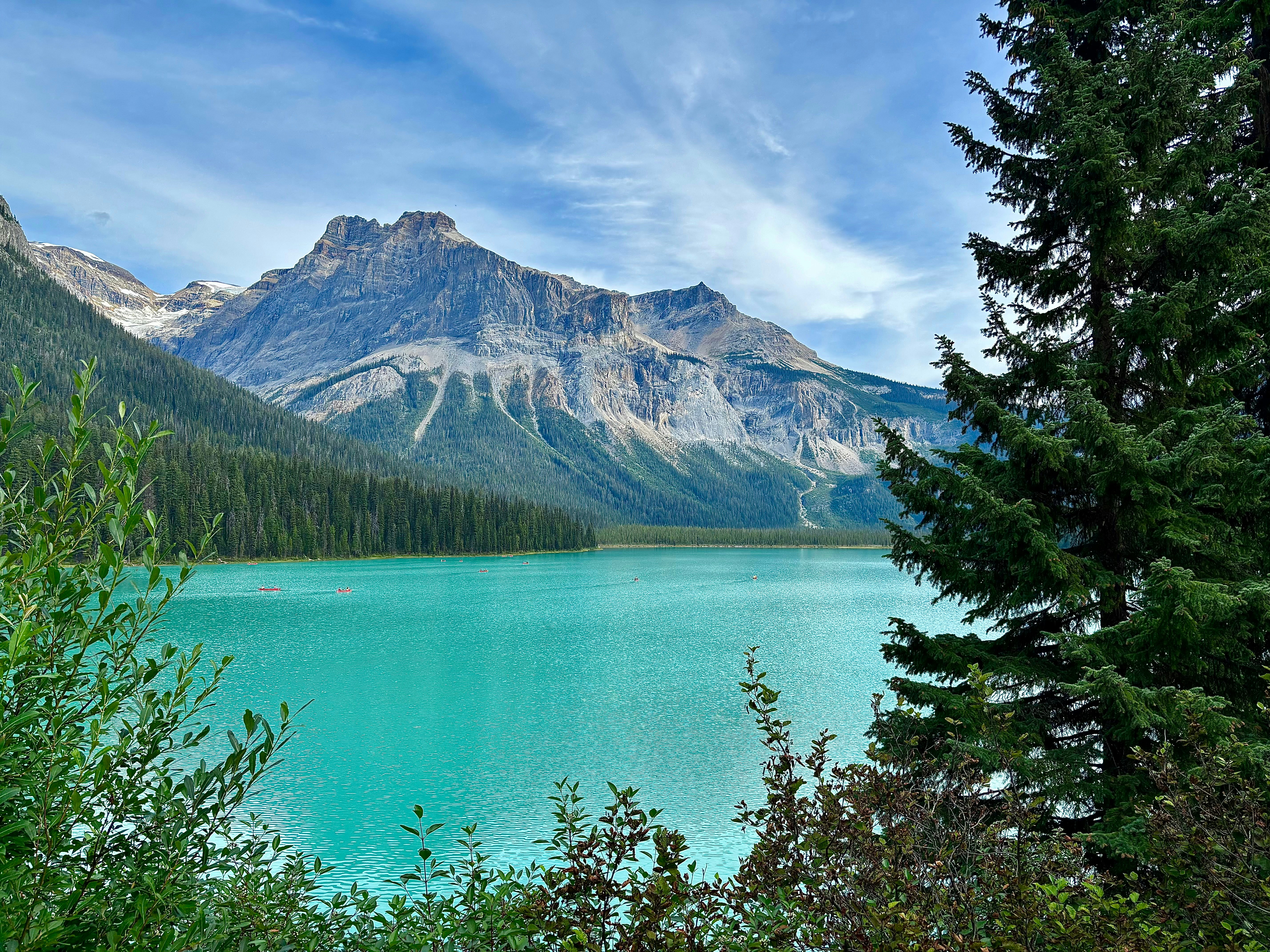 Photo by beutifulnature