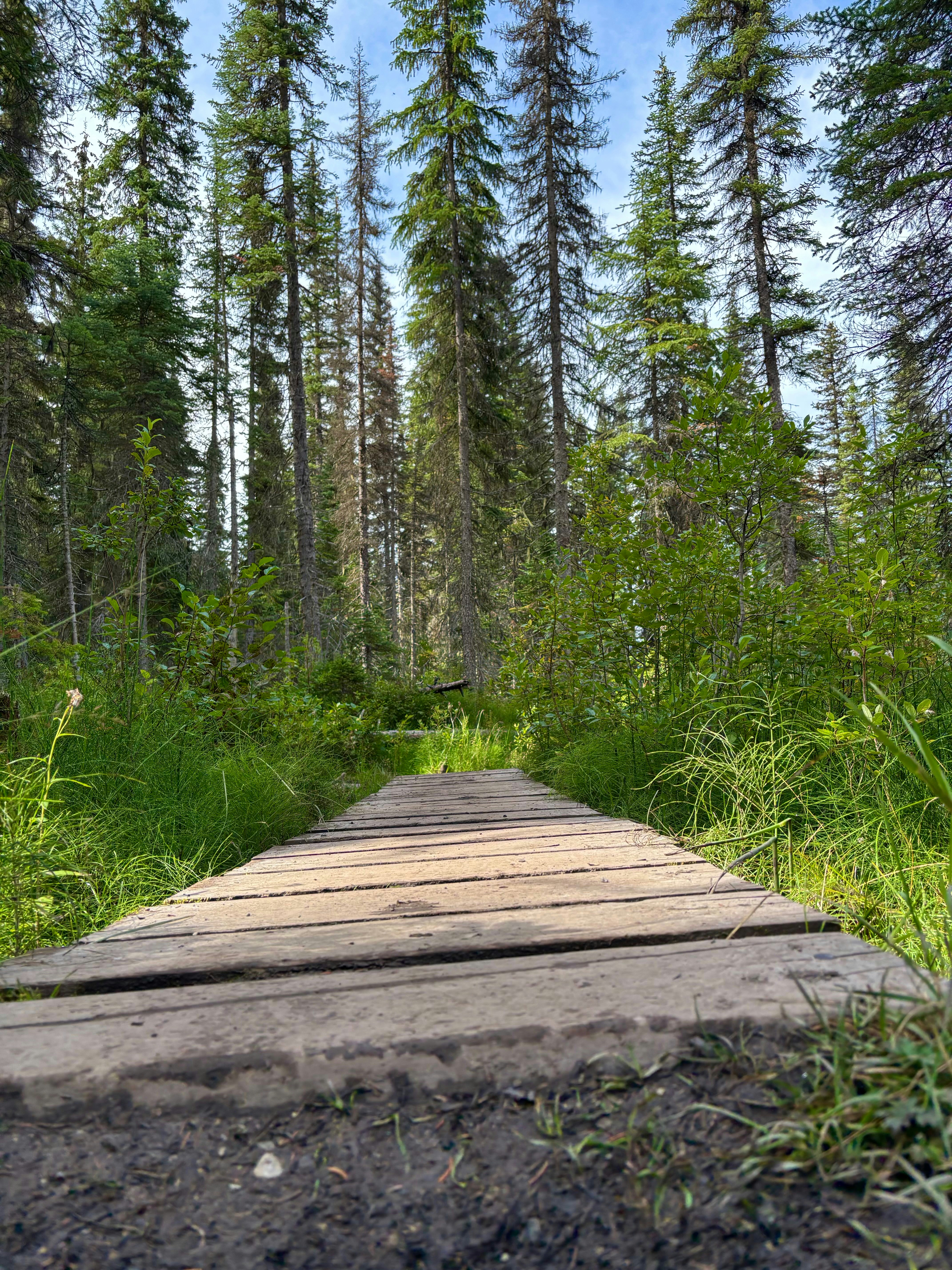 Photo by beutifulnature