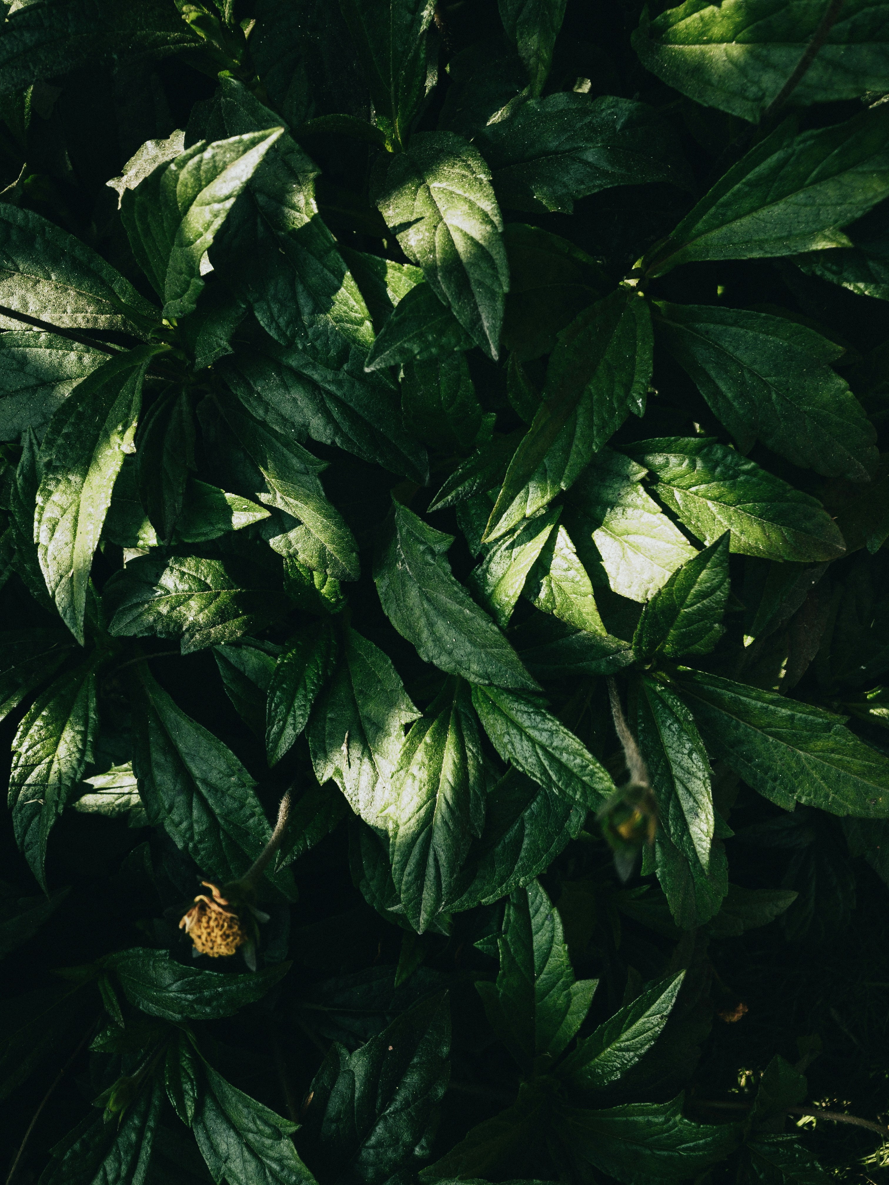 Photo by amritanshdubey